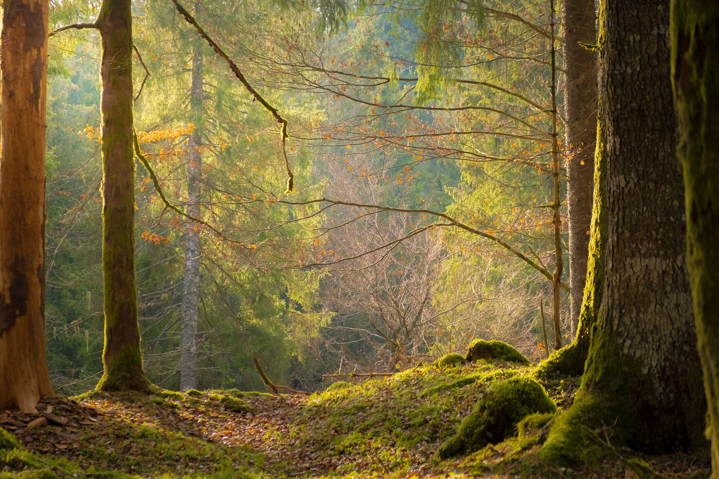 Ad un passo dalla luce