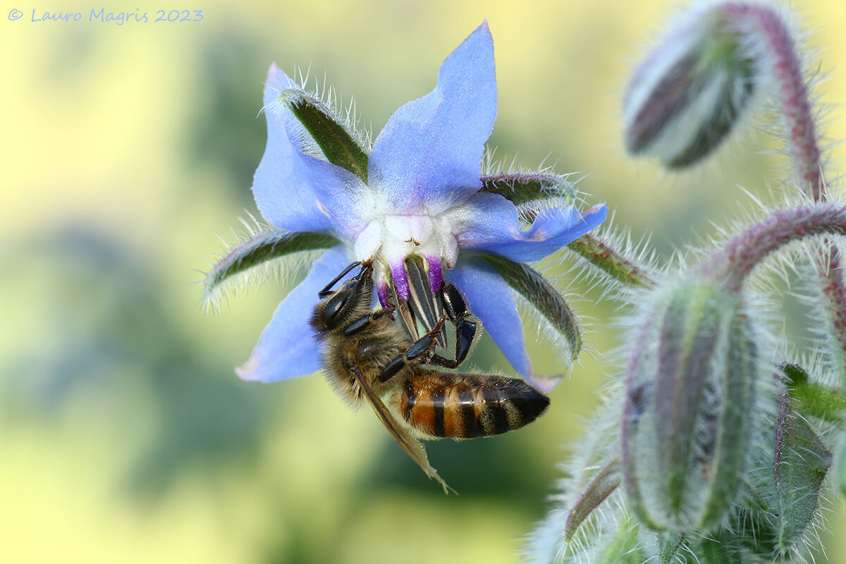 Una meravigliosa storia d'amore