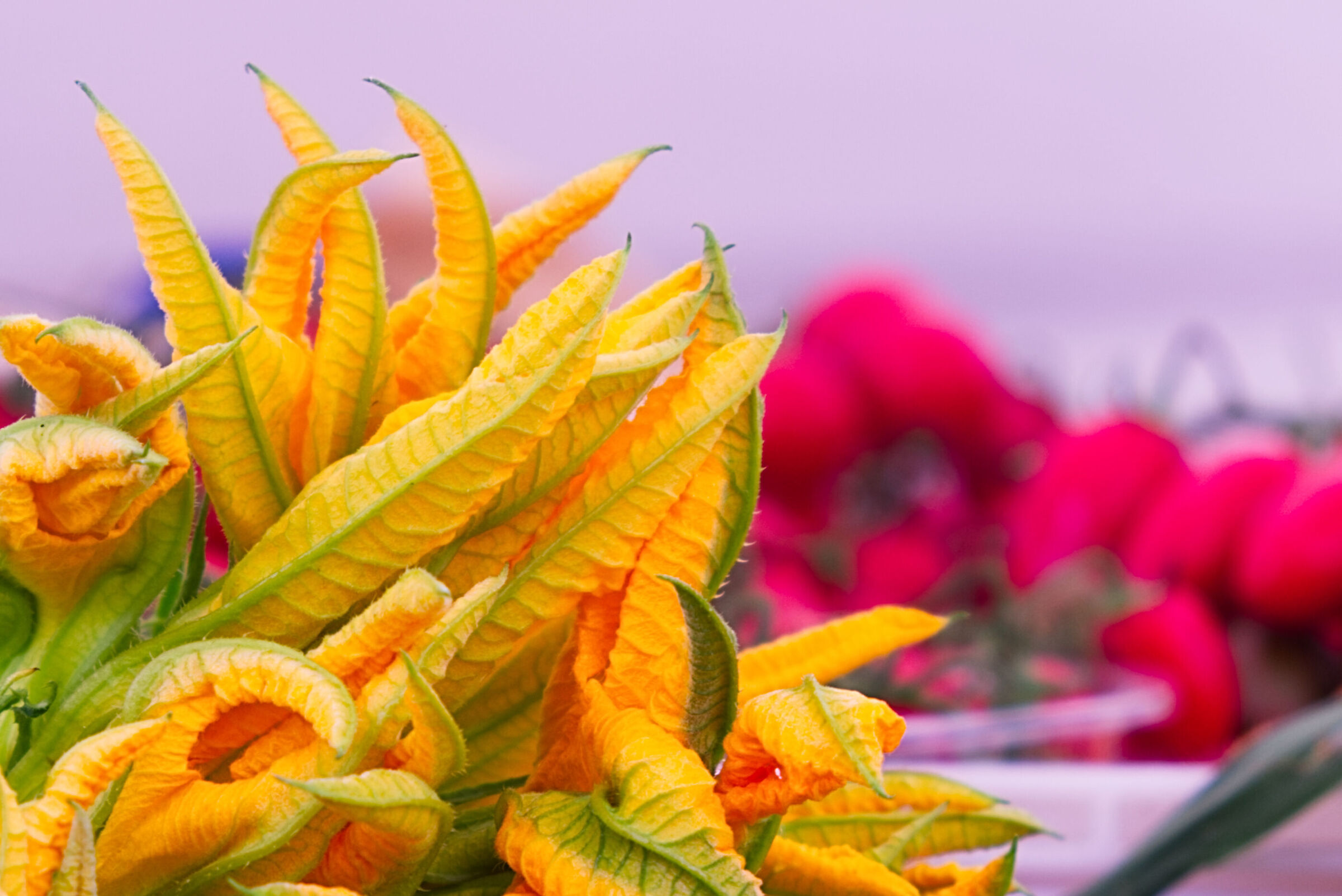 artigli o fiori...