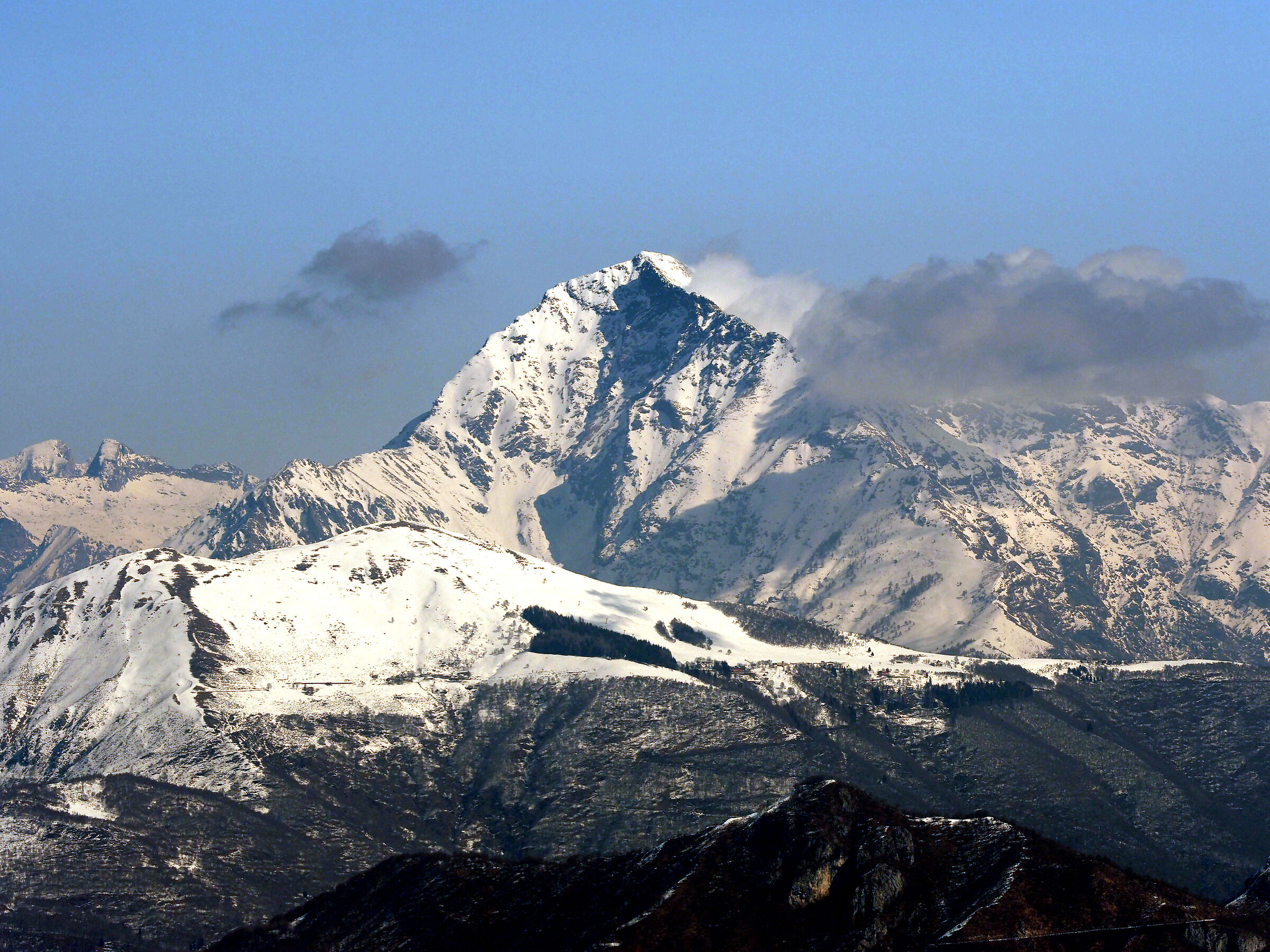 Monti