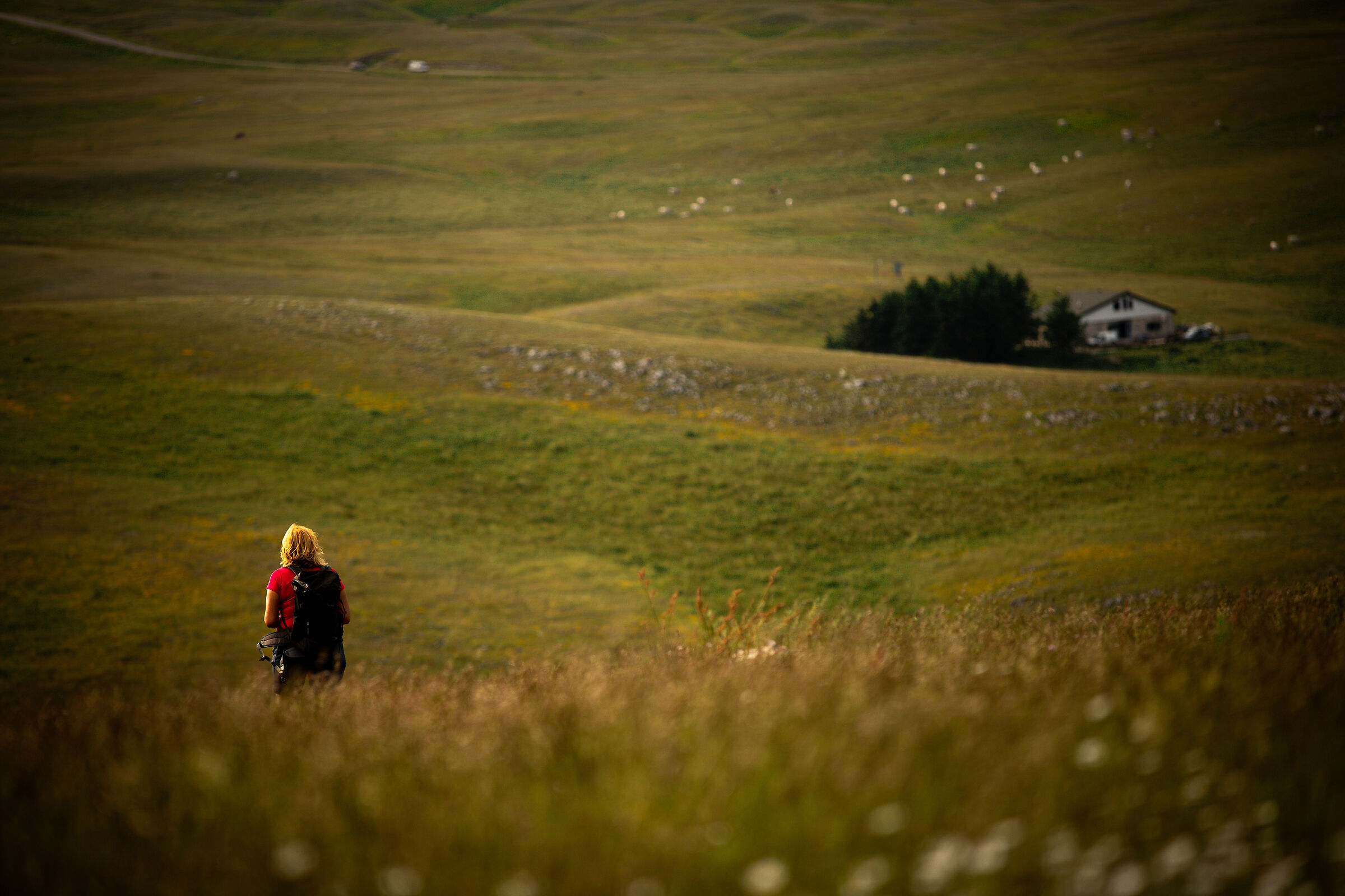 Campo Imperatore