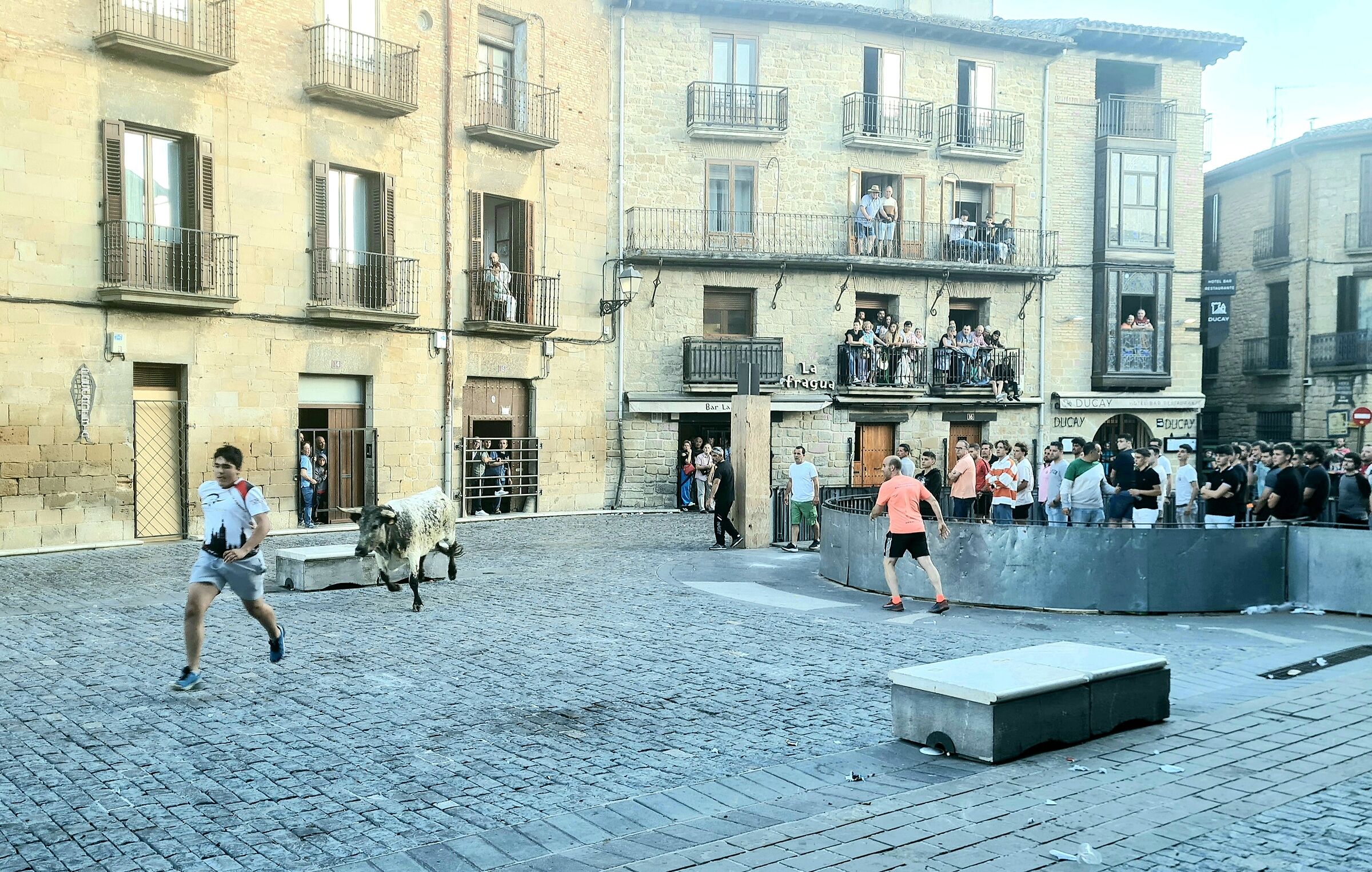 Encierro..  a Olite (navarra)