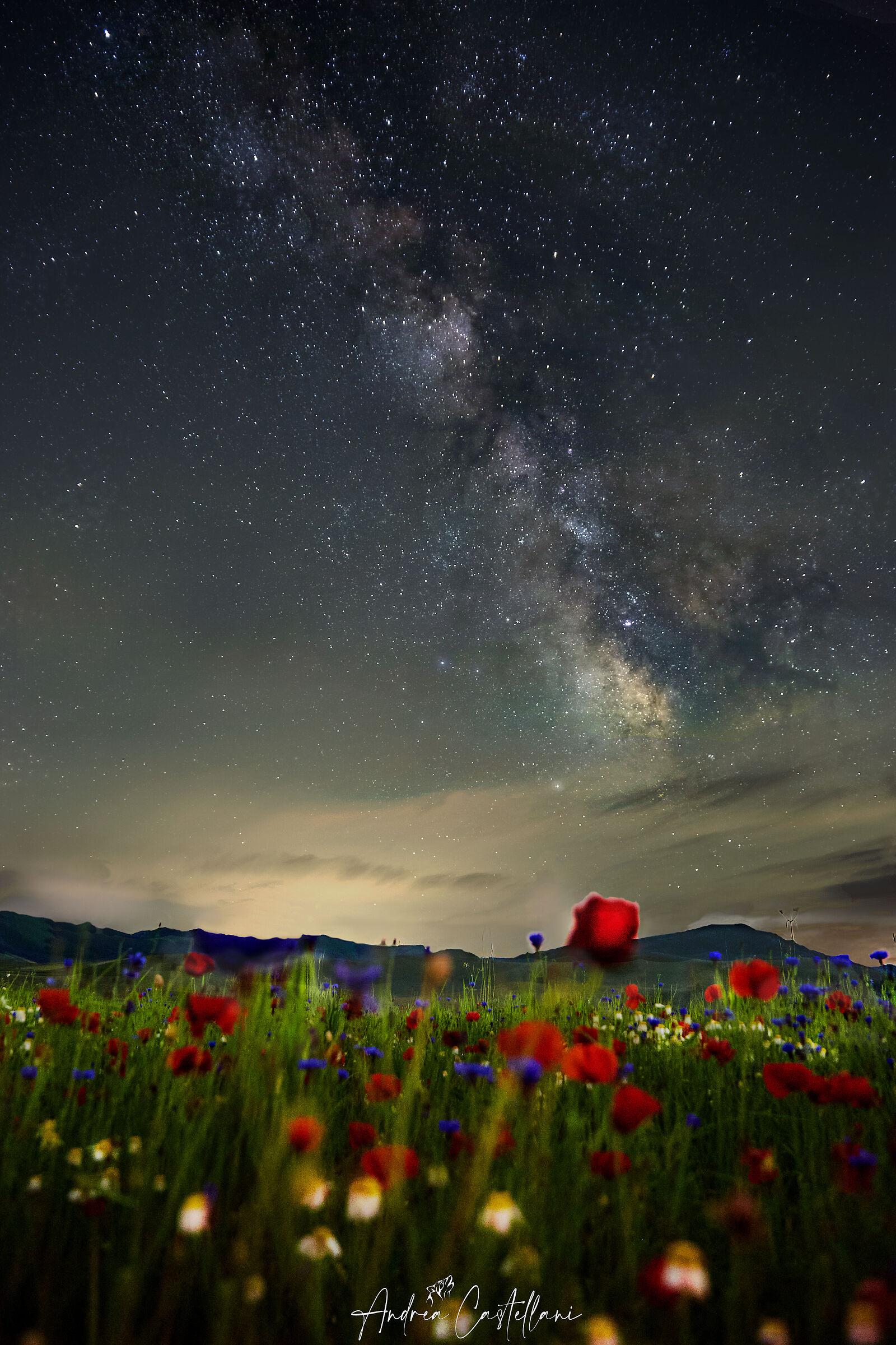 Milky Way sulla piana di Castelluccio