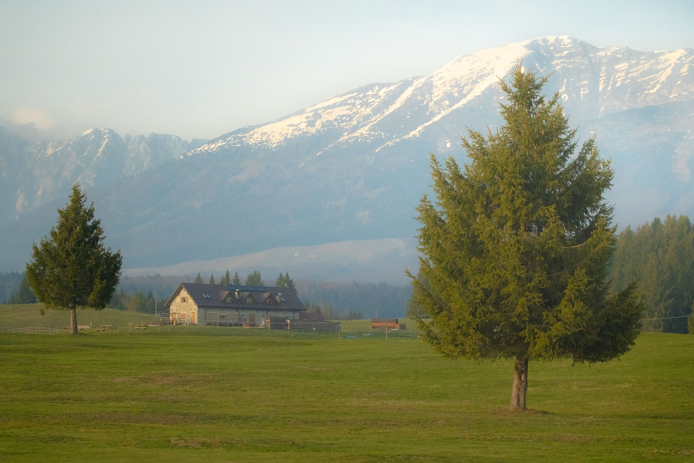Sogno di mezza estate