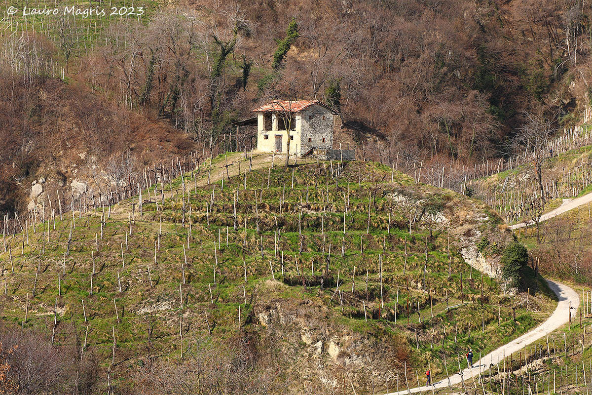 Trekking tra i filari