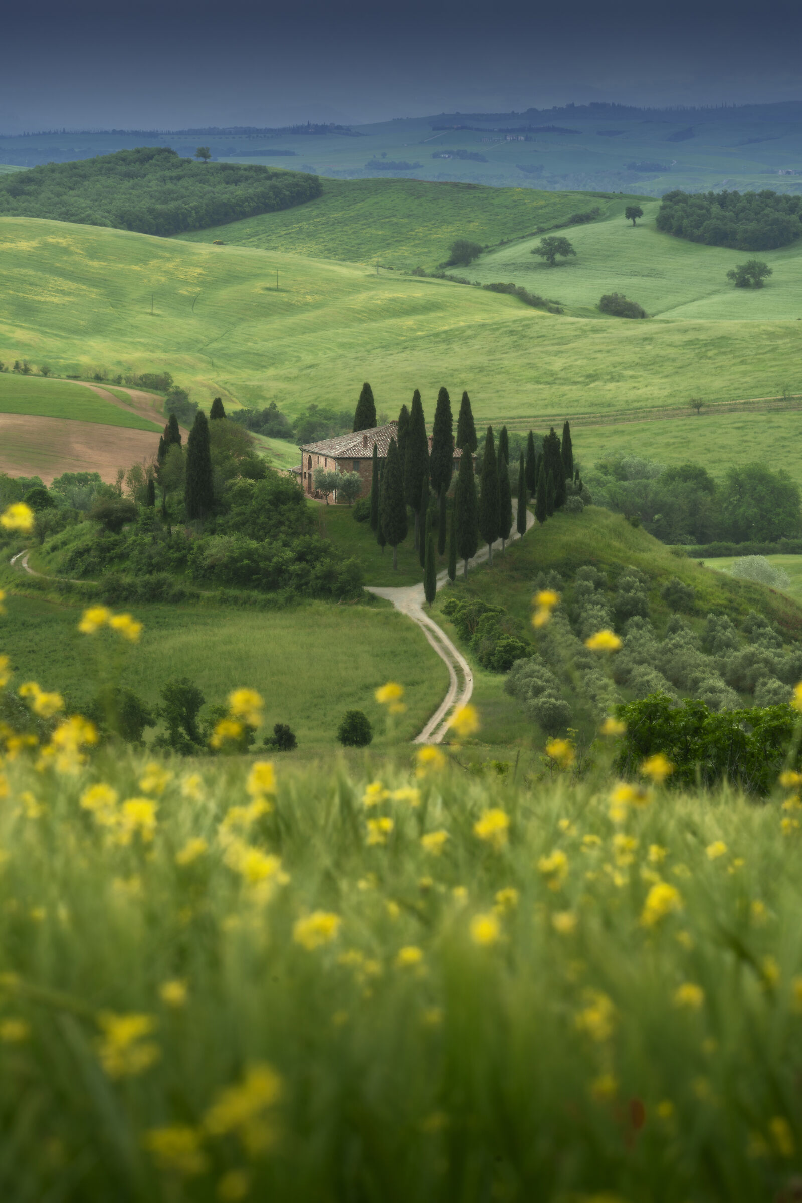 Belvedere