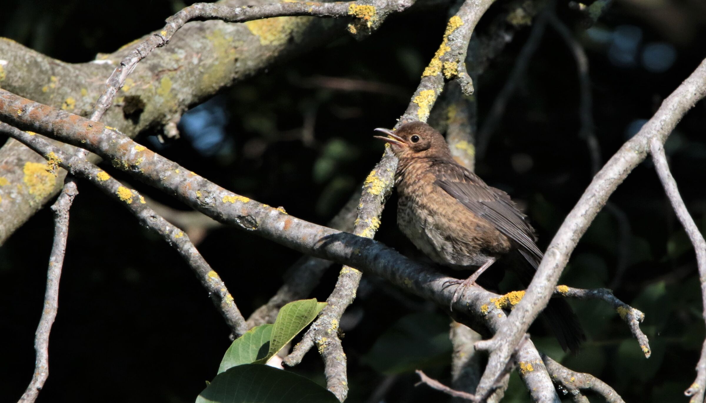 discovering the world!