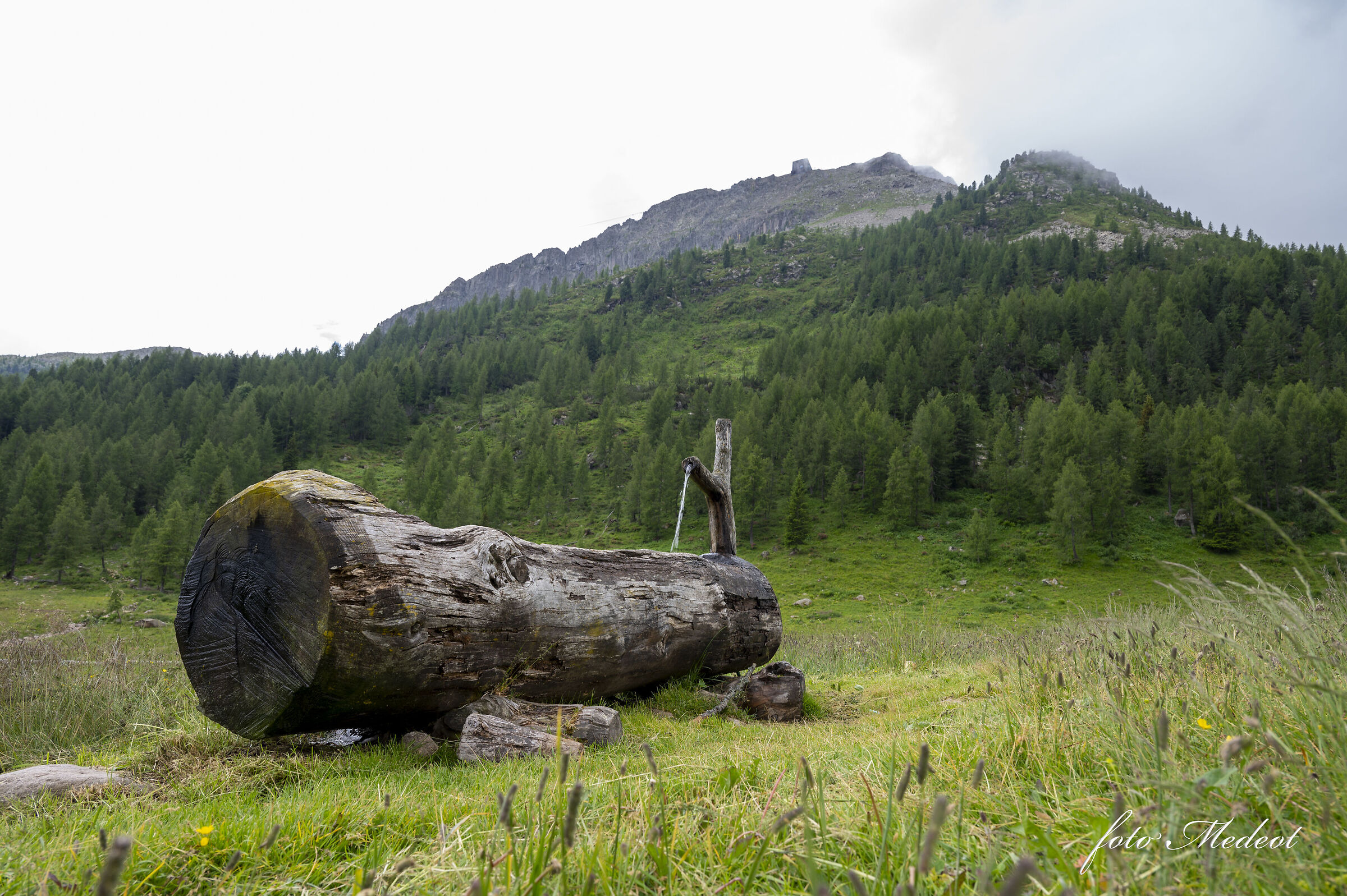 Passo San Pellegrino