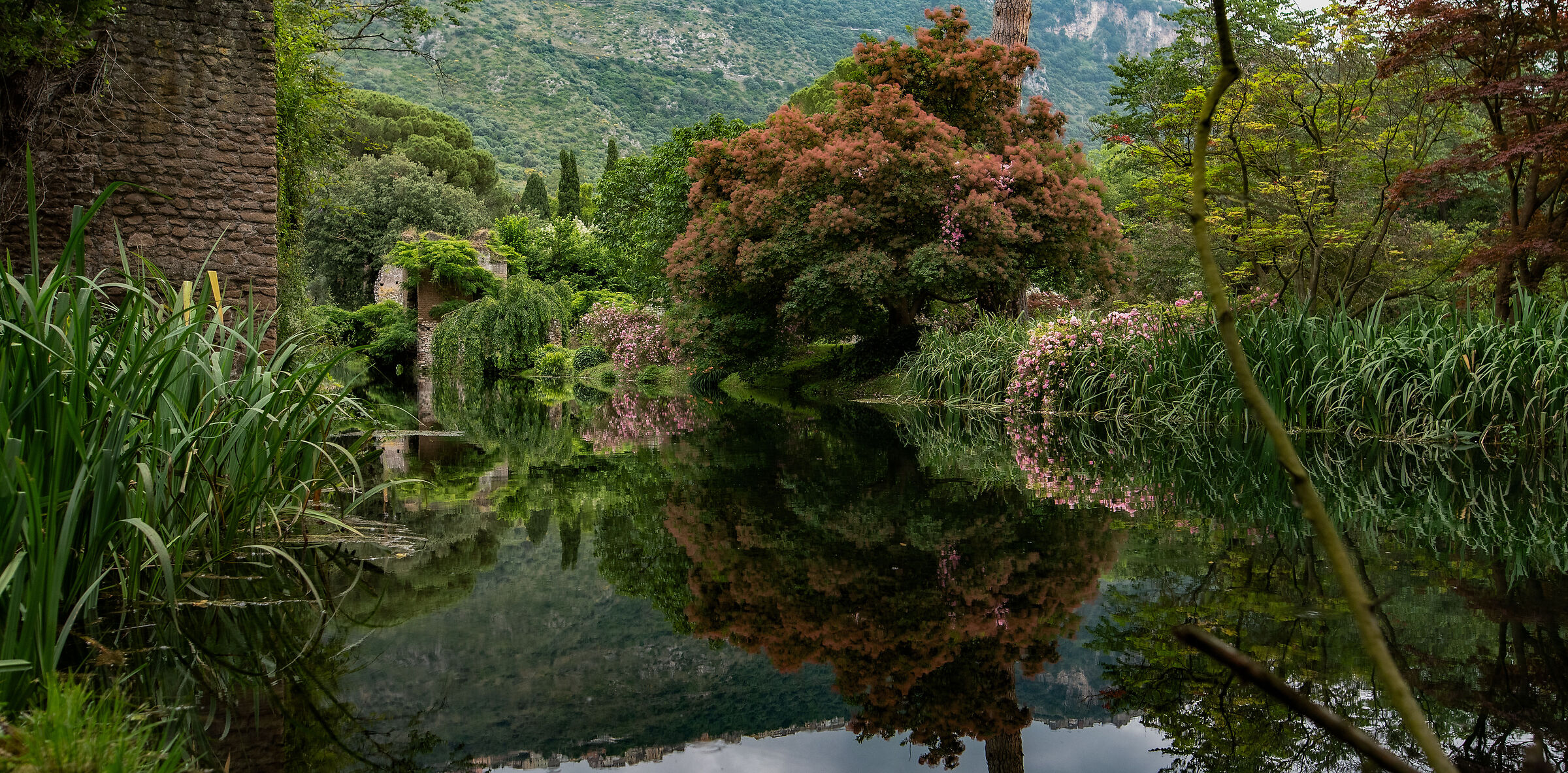 Gardens