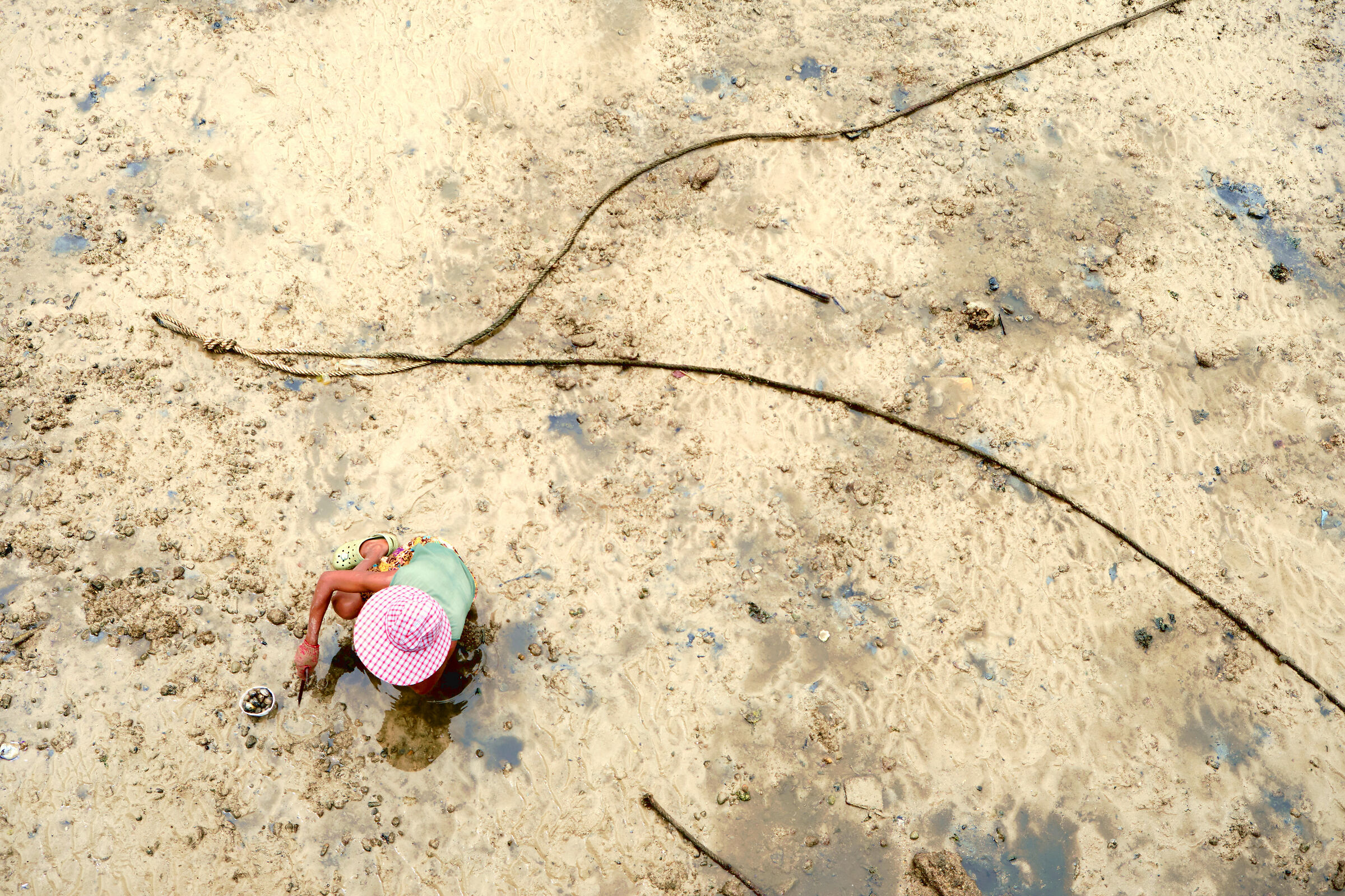 The clam picker and the seagull
