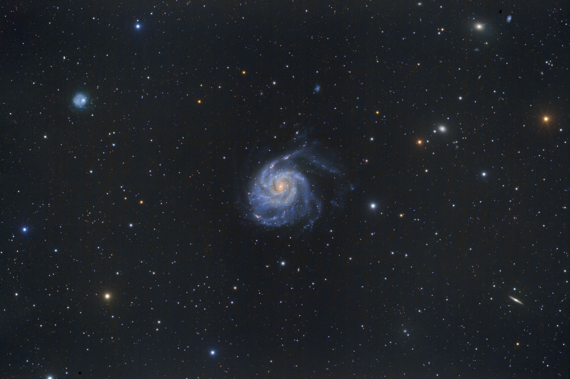 M101 and field mates