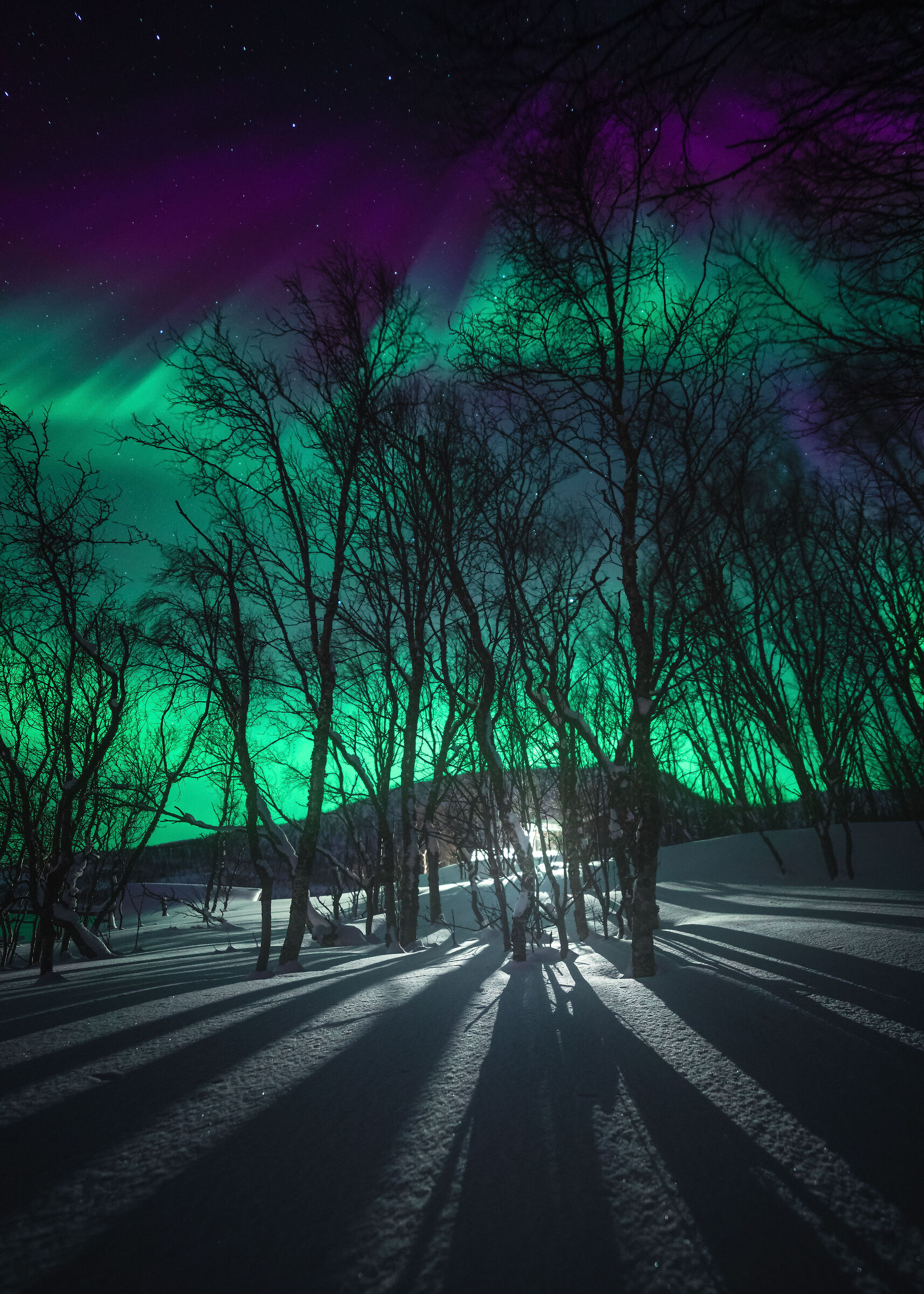 Aurora borealis