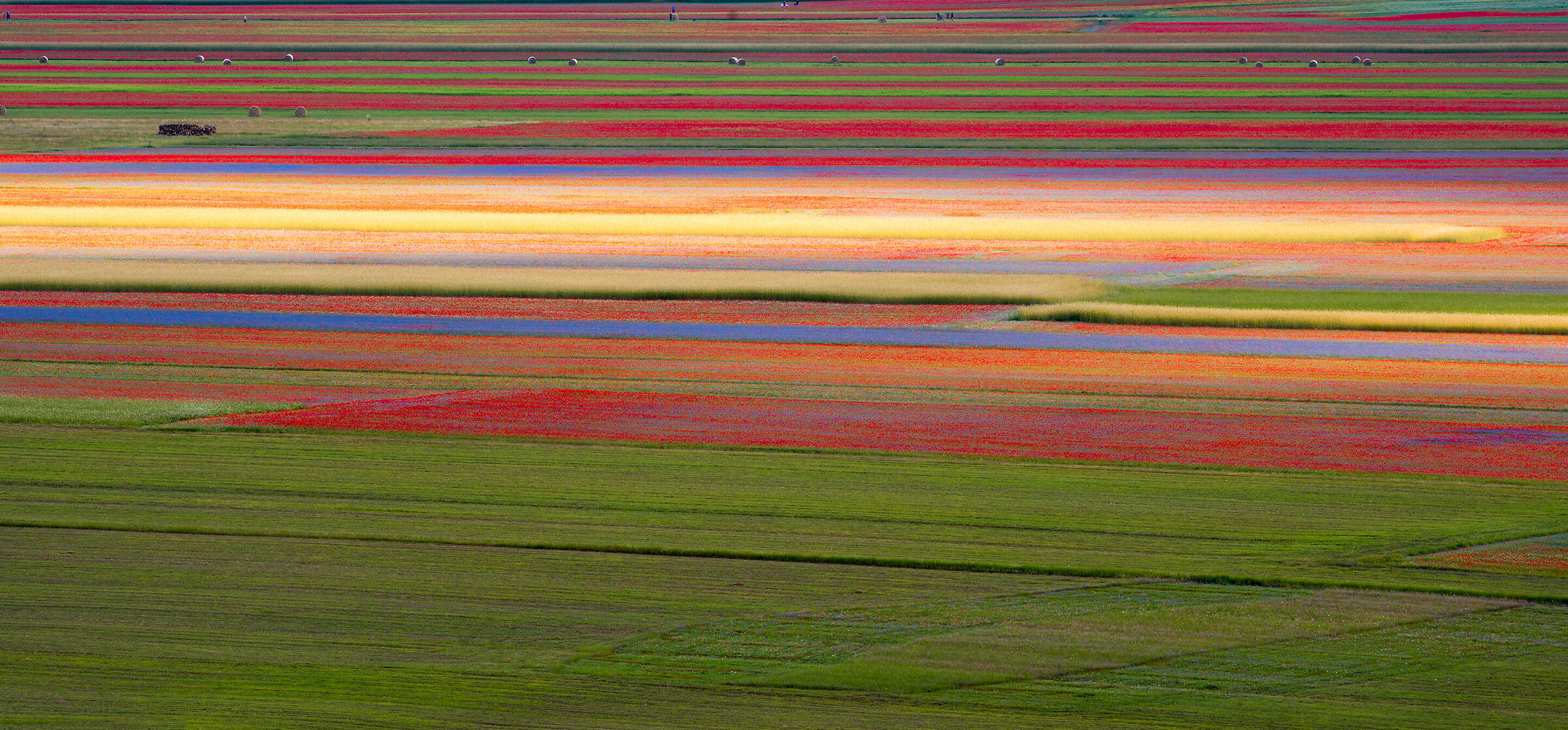 striscia il colore in ...