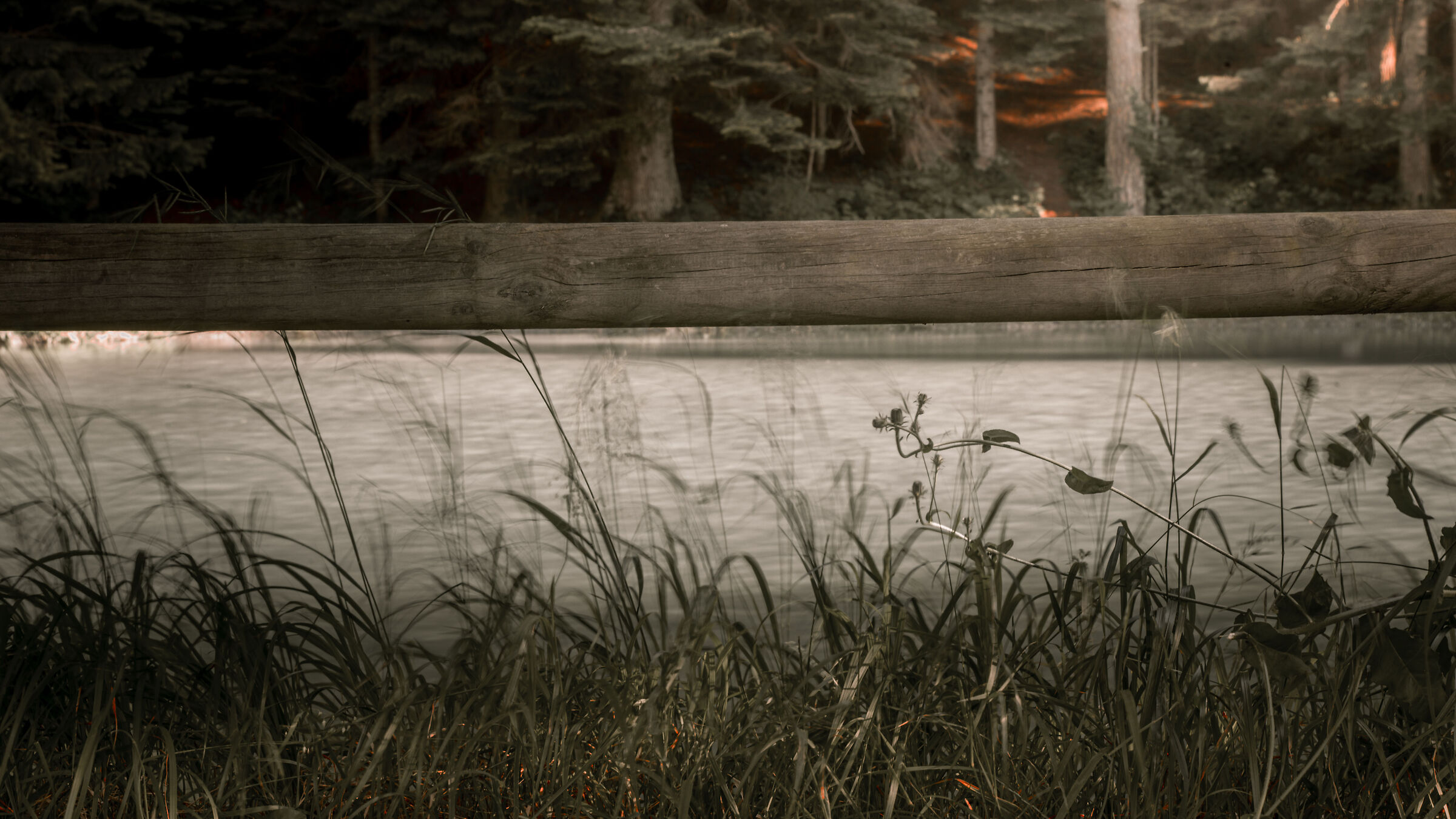 Parco naturale del Gran Bosco di Salbertrand