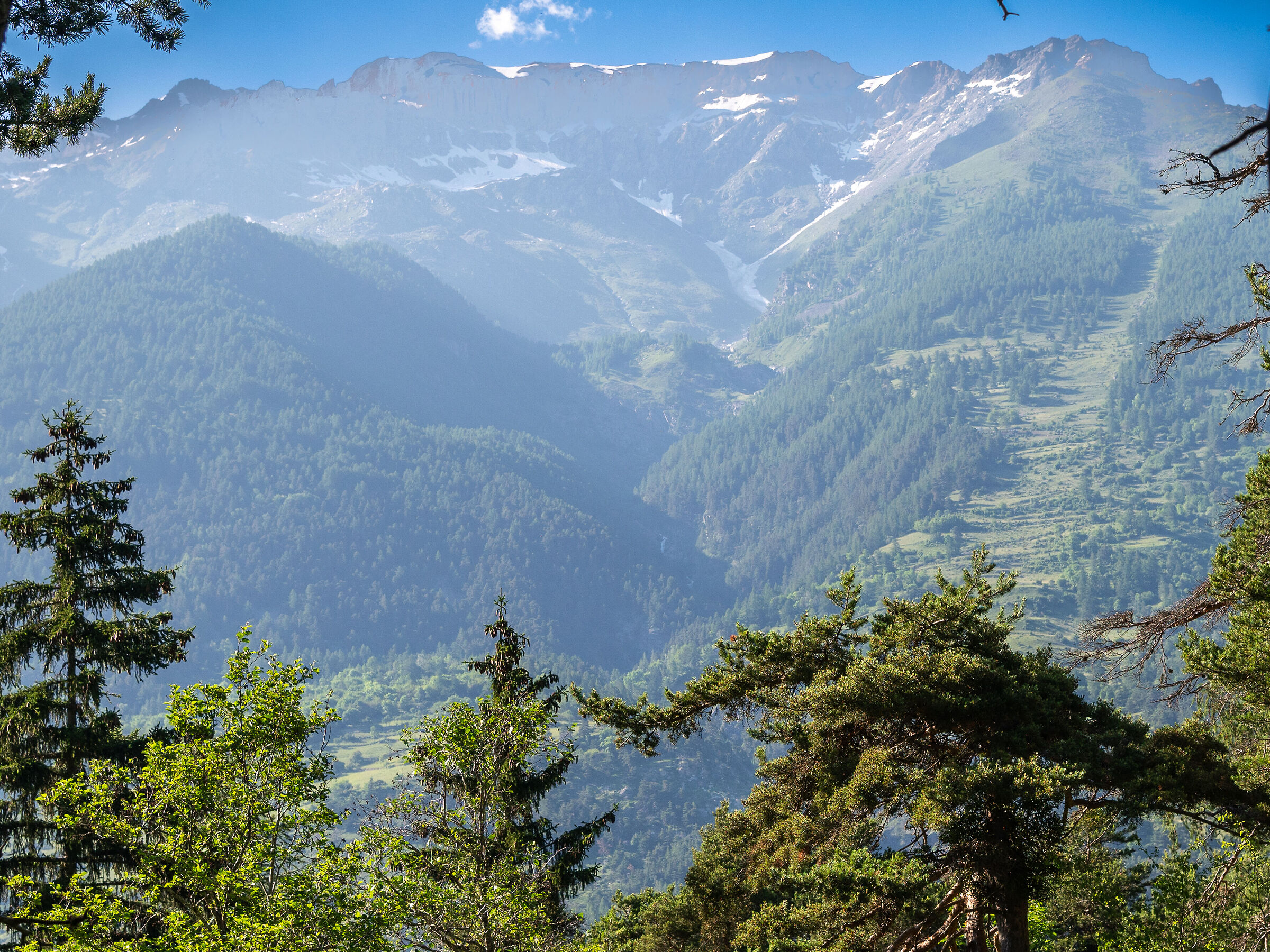 Parco naturale del Gran Bosco di Salbertrand