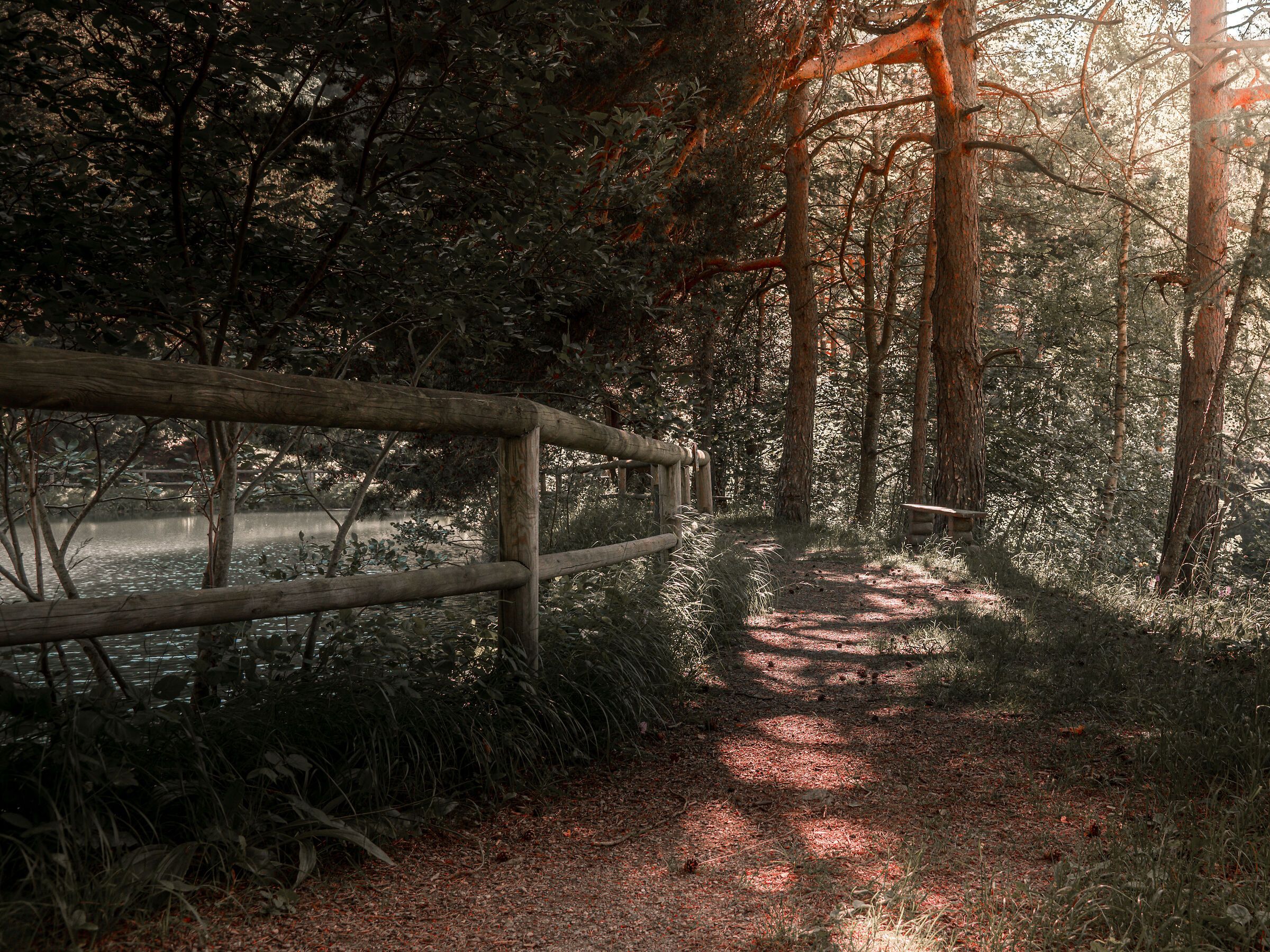 Parco naturale del Gran Bosco di Salbertrand
