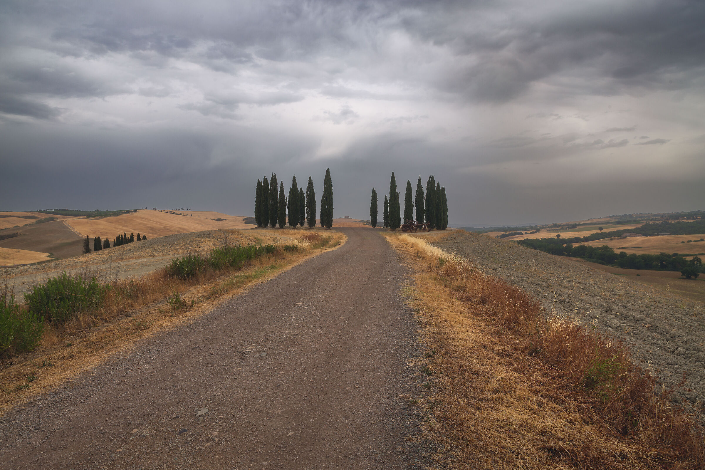 Untitled Photo