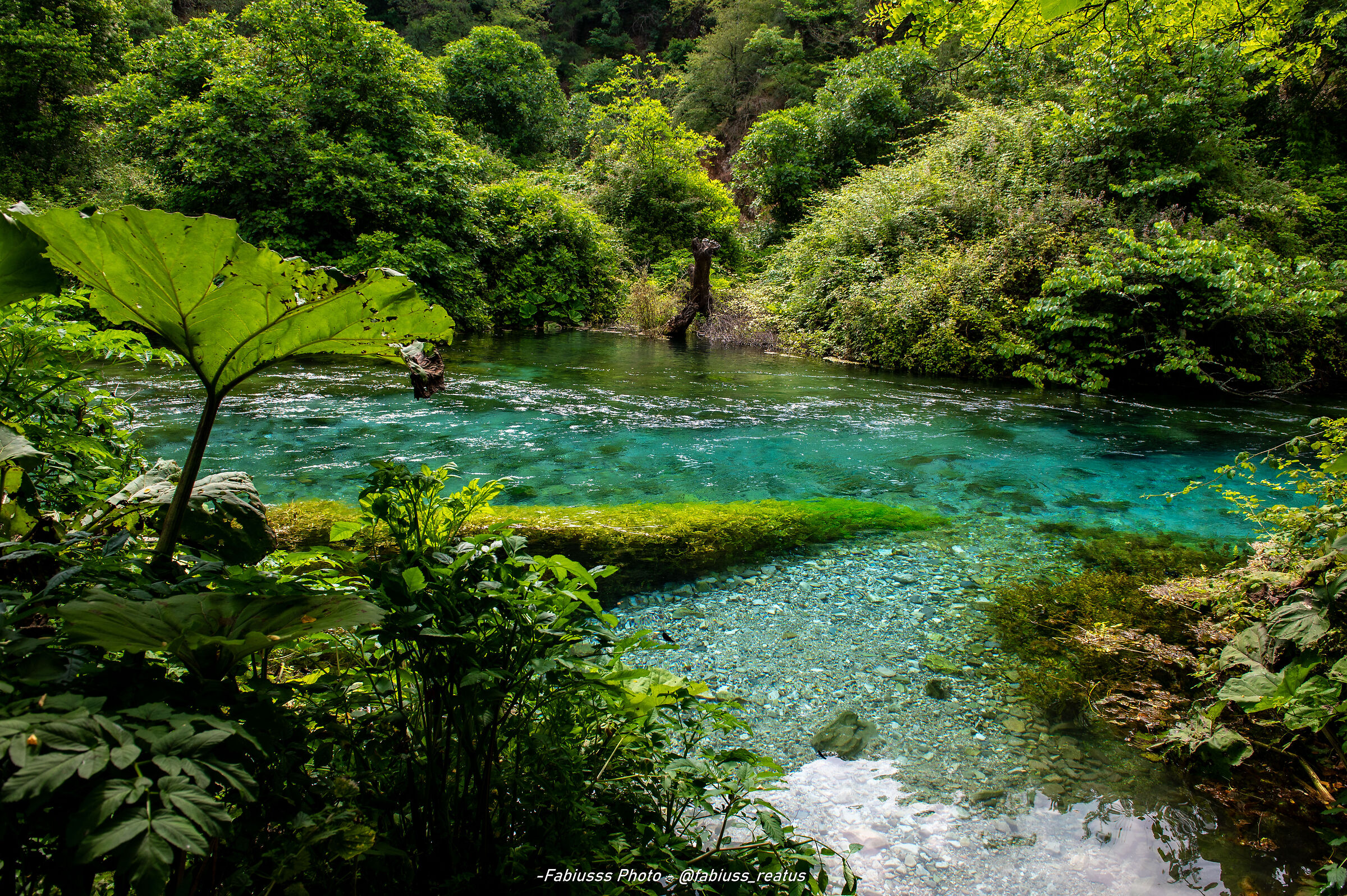 Blue Syri i Kaltër