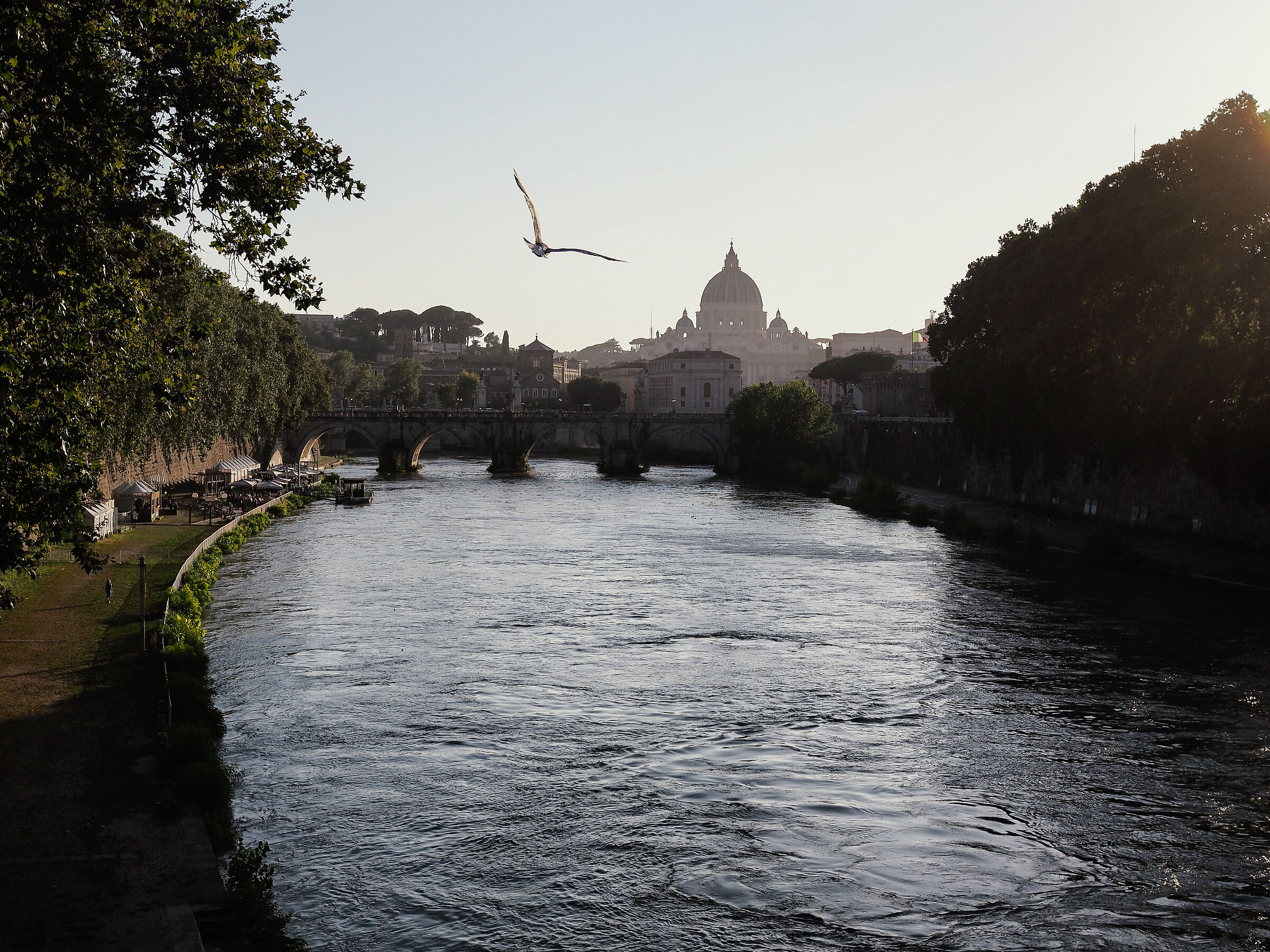 St. Peter's.
