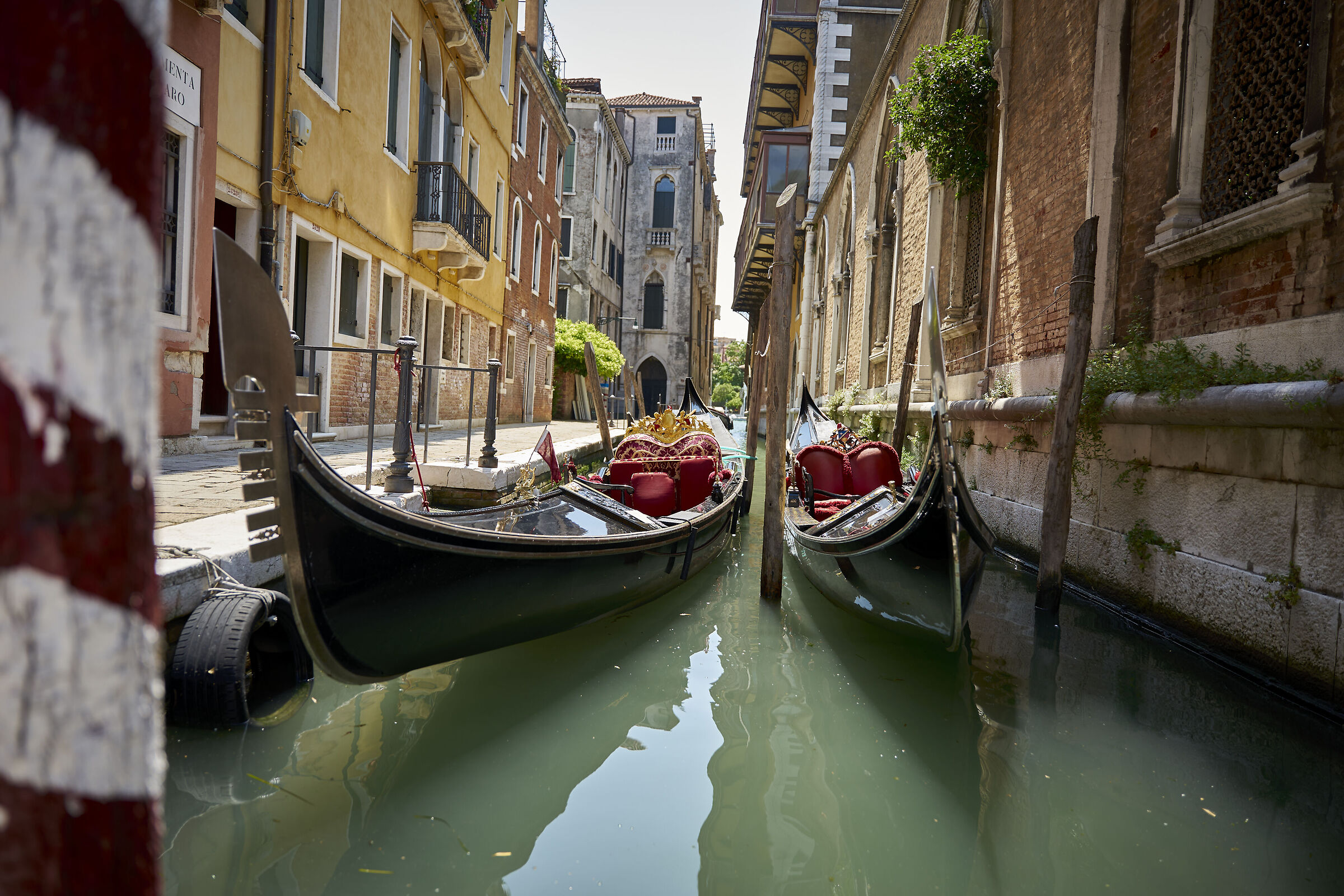 Una passeggiata a Venezia