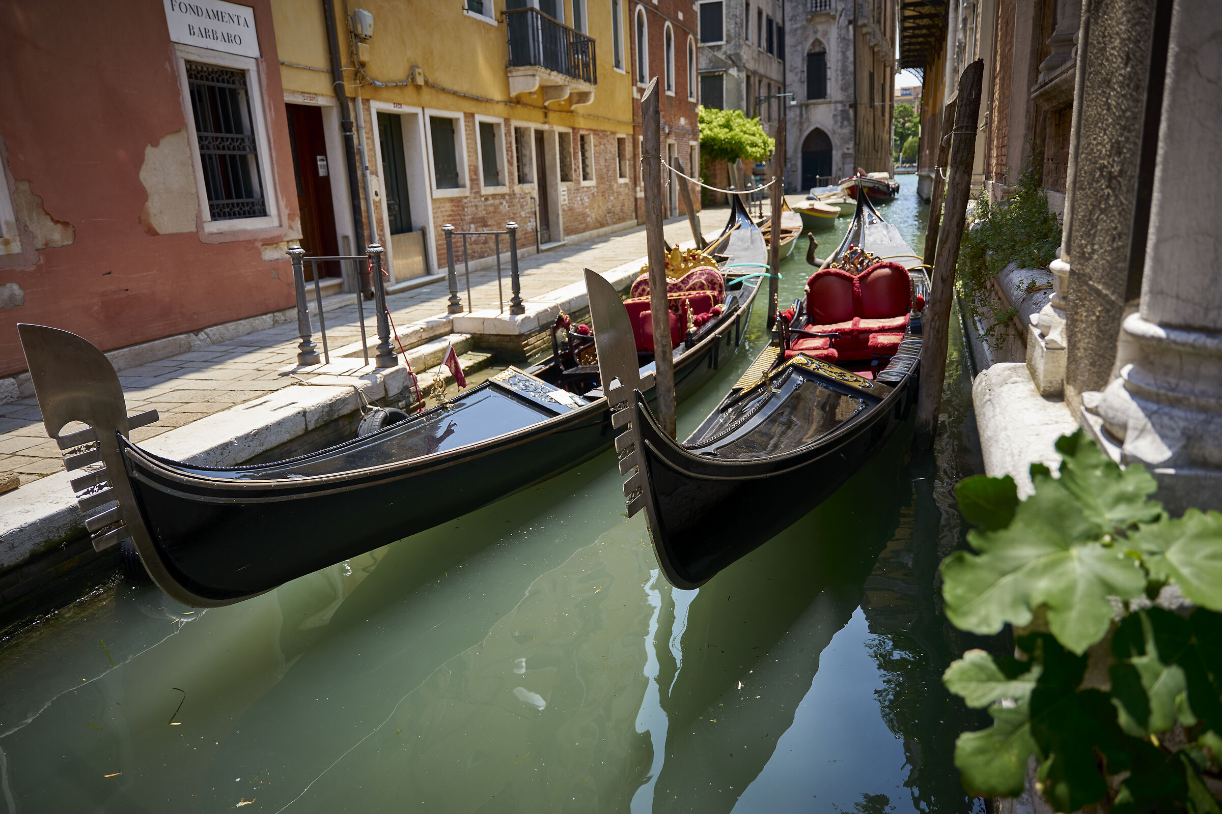 Una passeggiata a Venezia