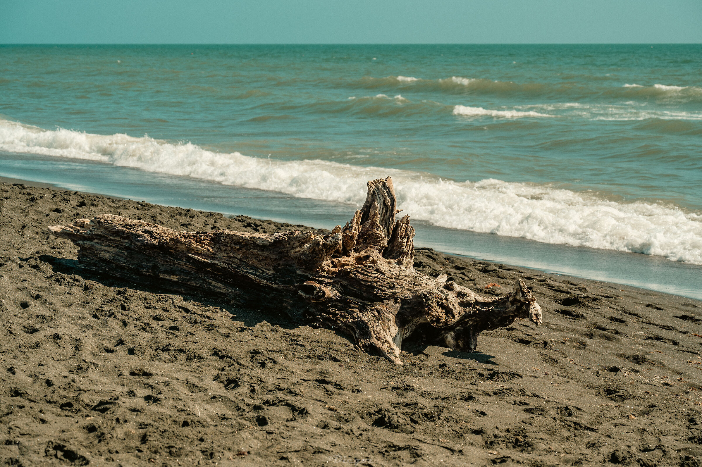 Untitled Photo