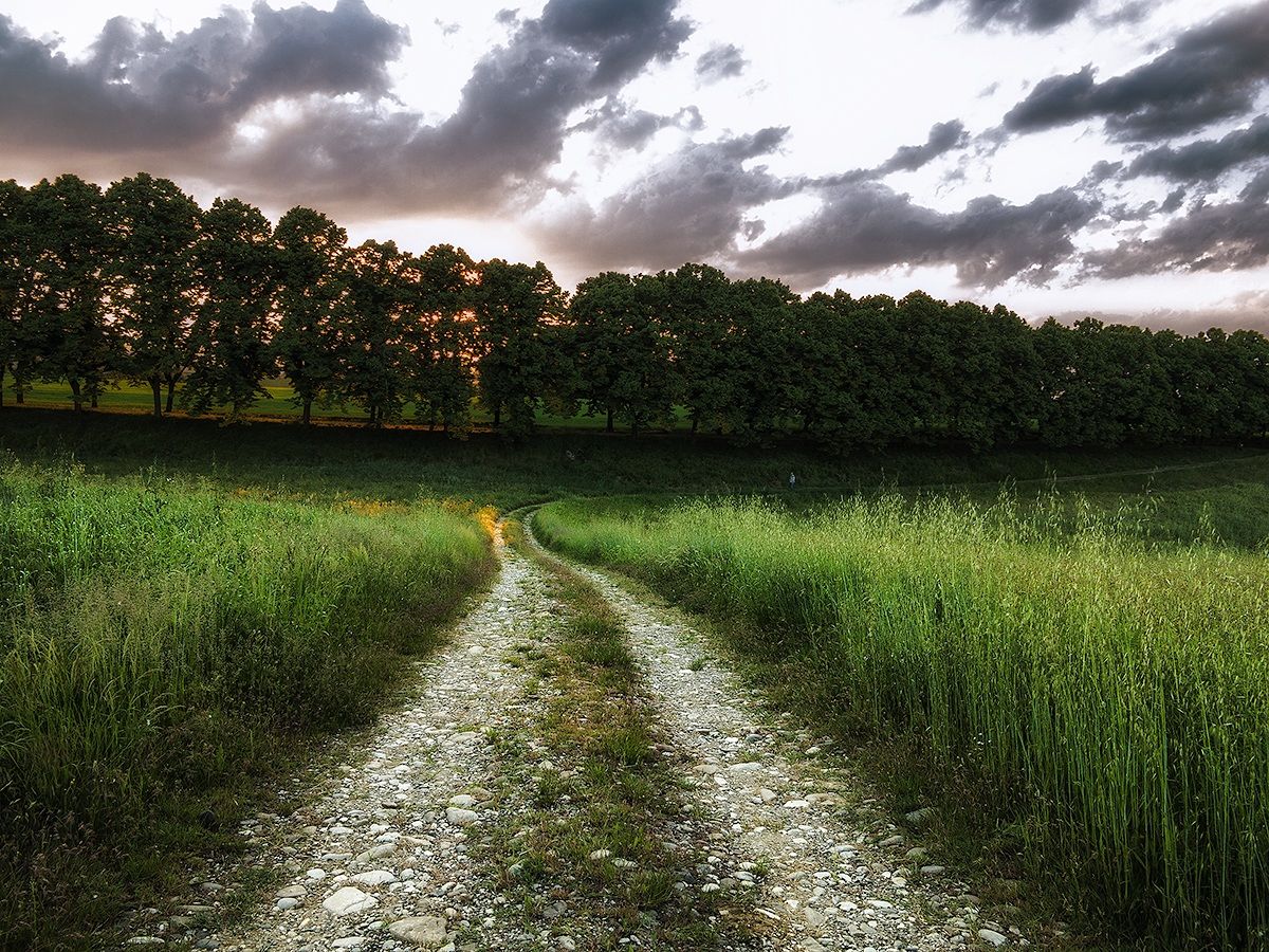 Towards the avenue of friendship
