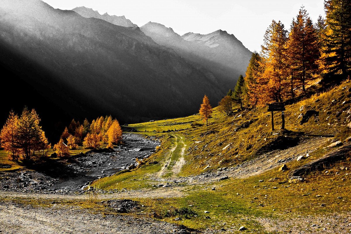 l 'Autumn and its colors