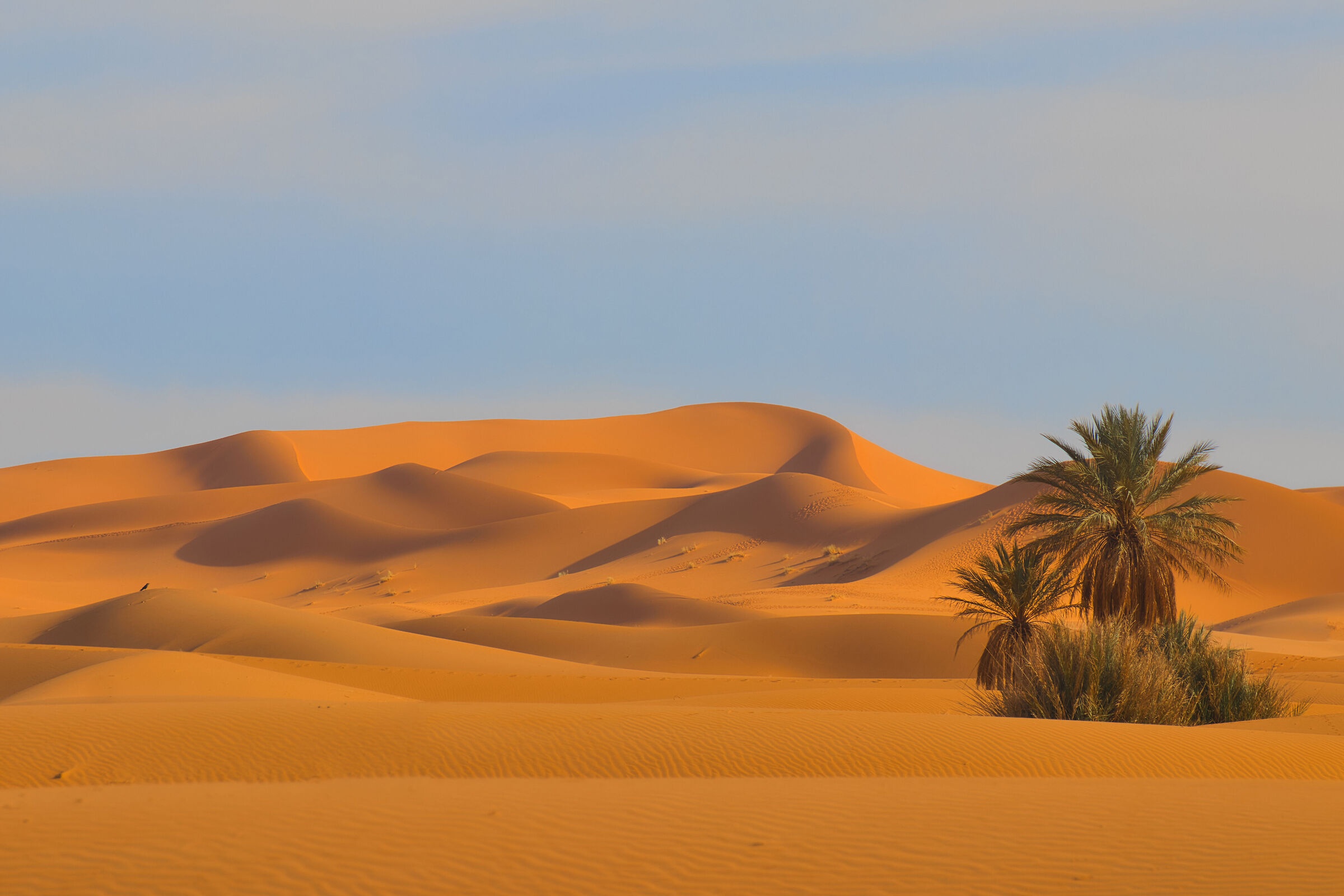 Merzouga sand dunes