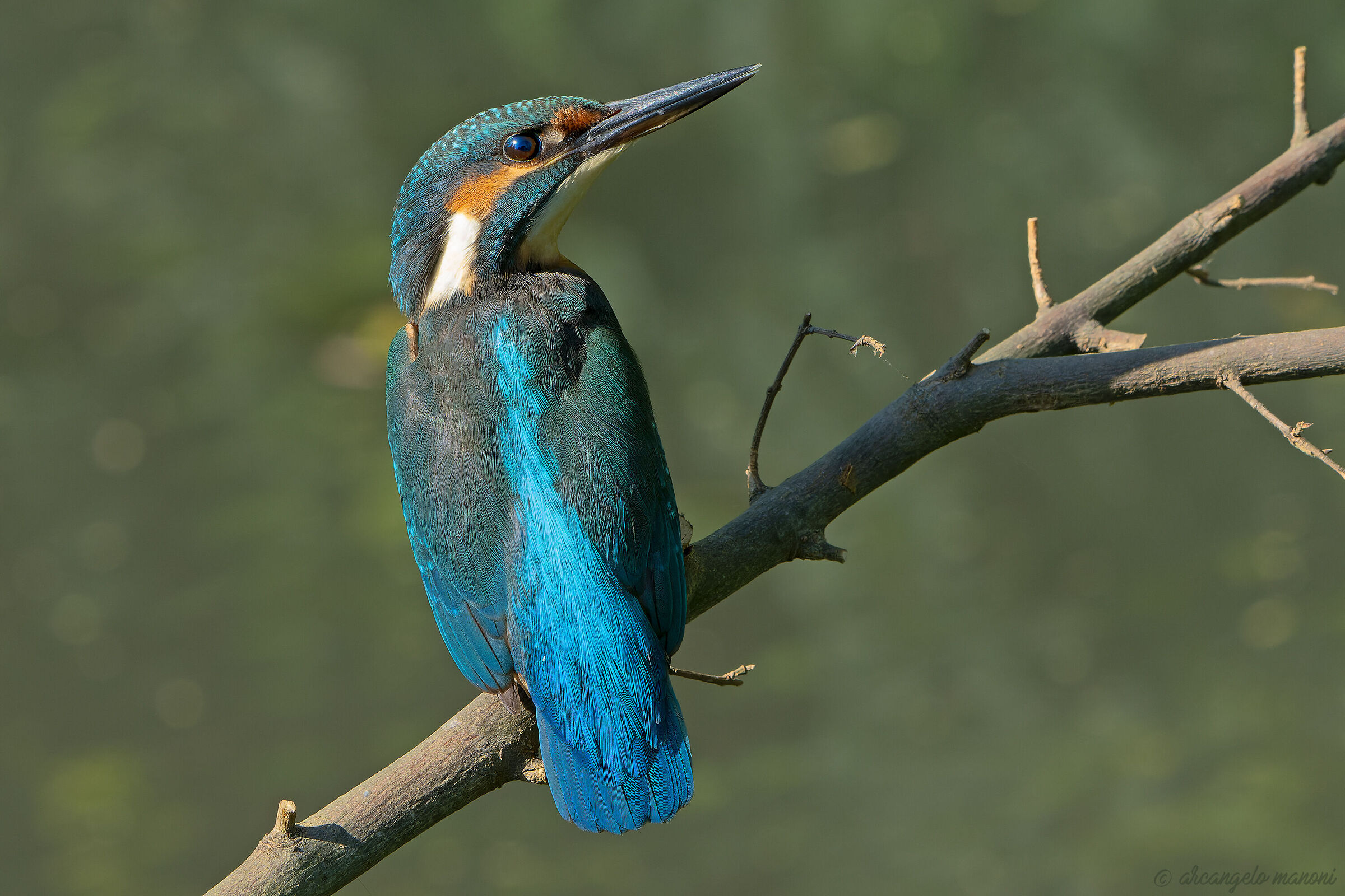 Lo so che mi hai visto!