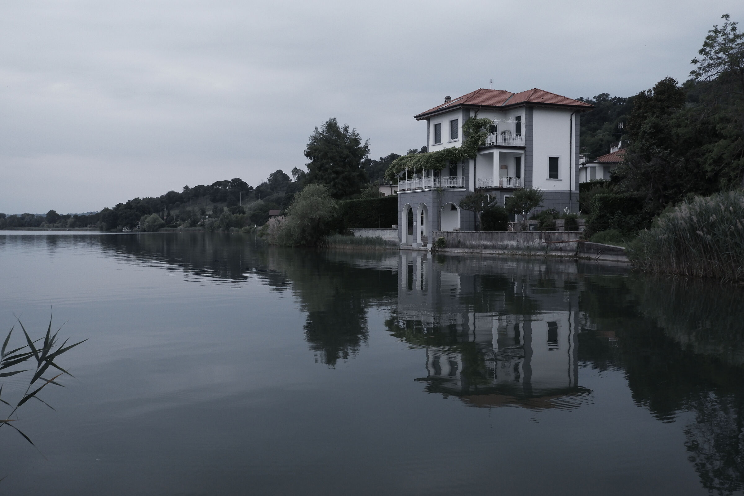 Greyhouse