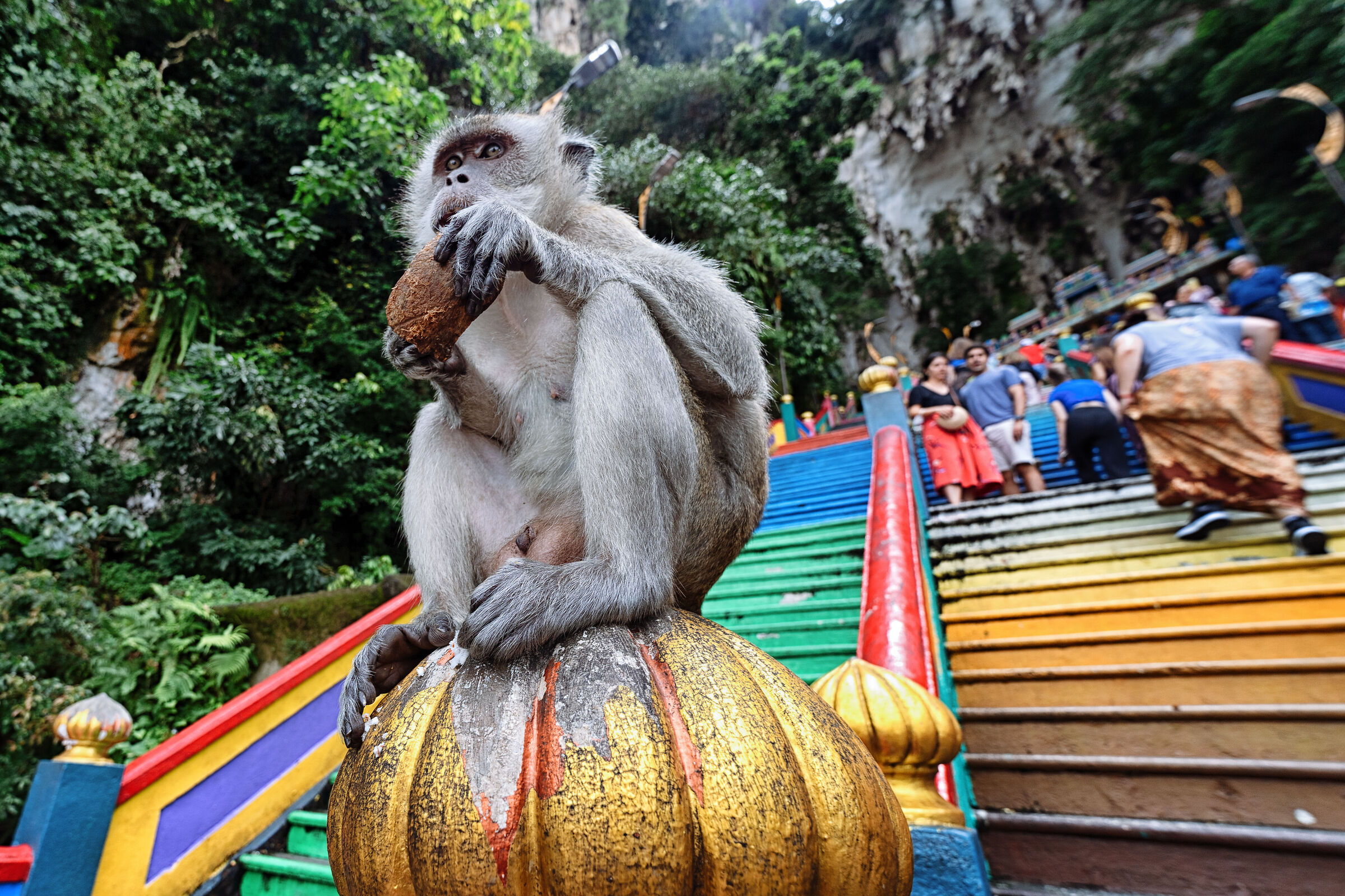 Scrutando i pellegrini