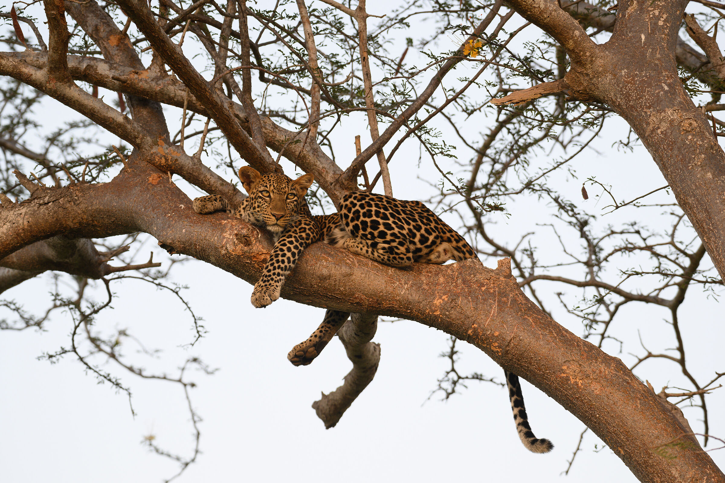 ...equilibrio perfetto...