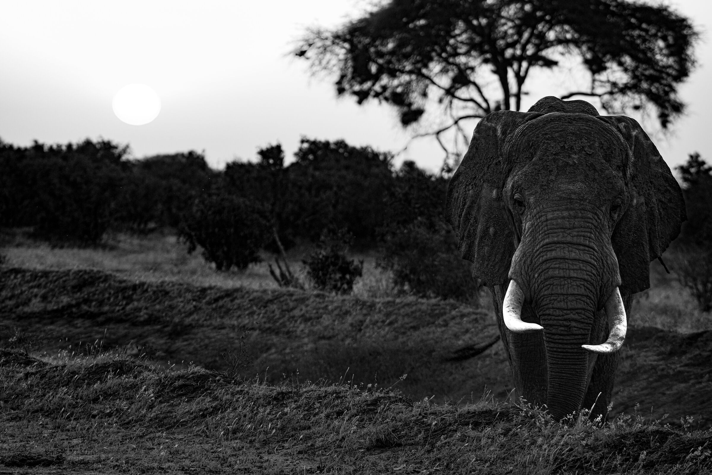 ...immensamente lui...