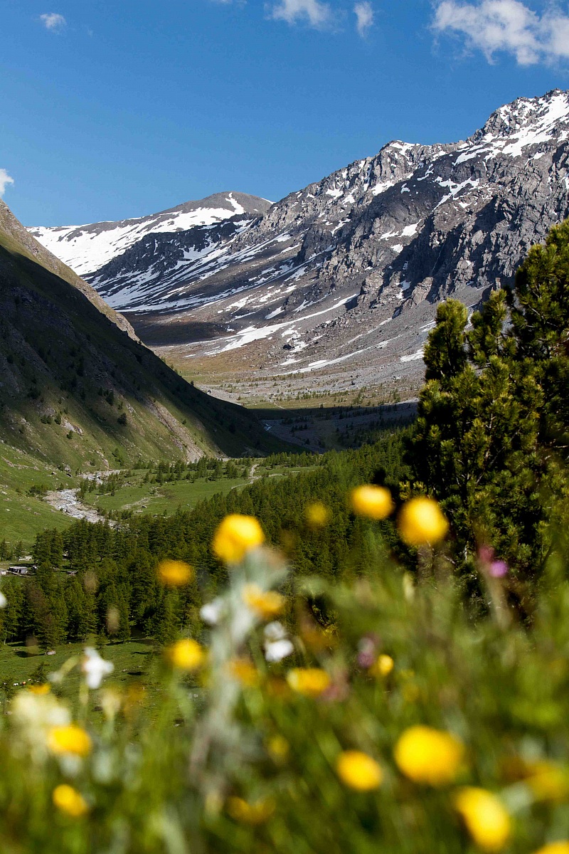 Spring in the Valley Thures