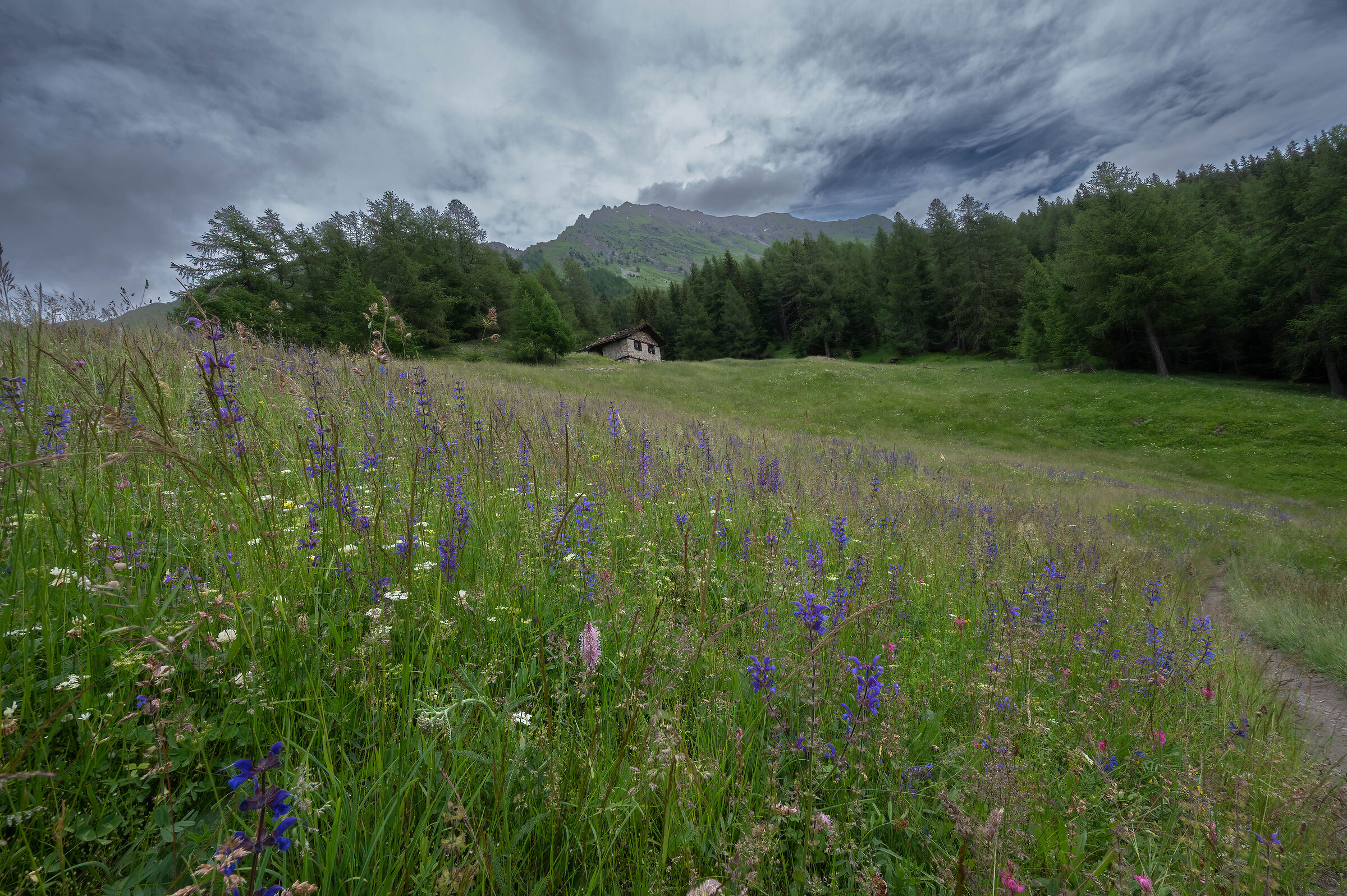 Col de Licoly