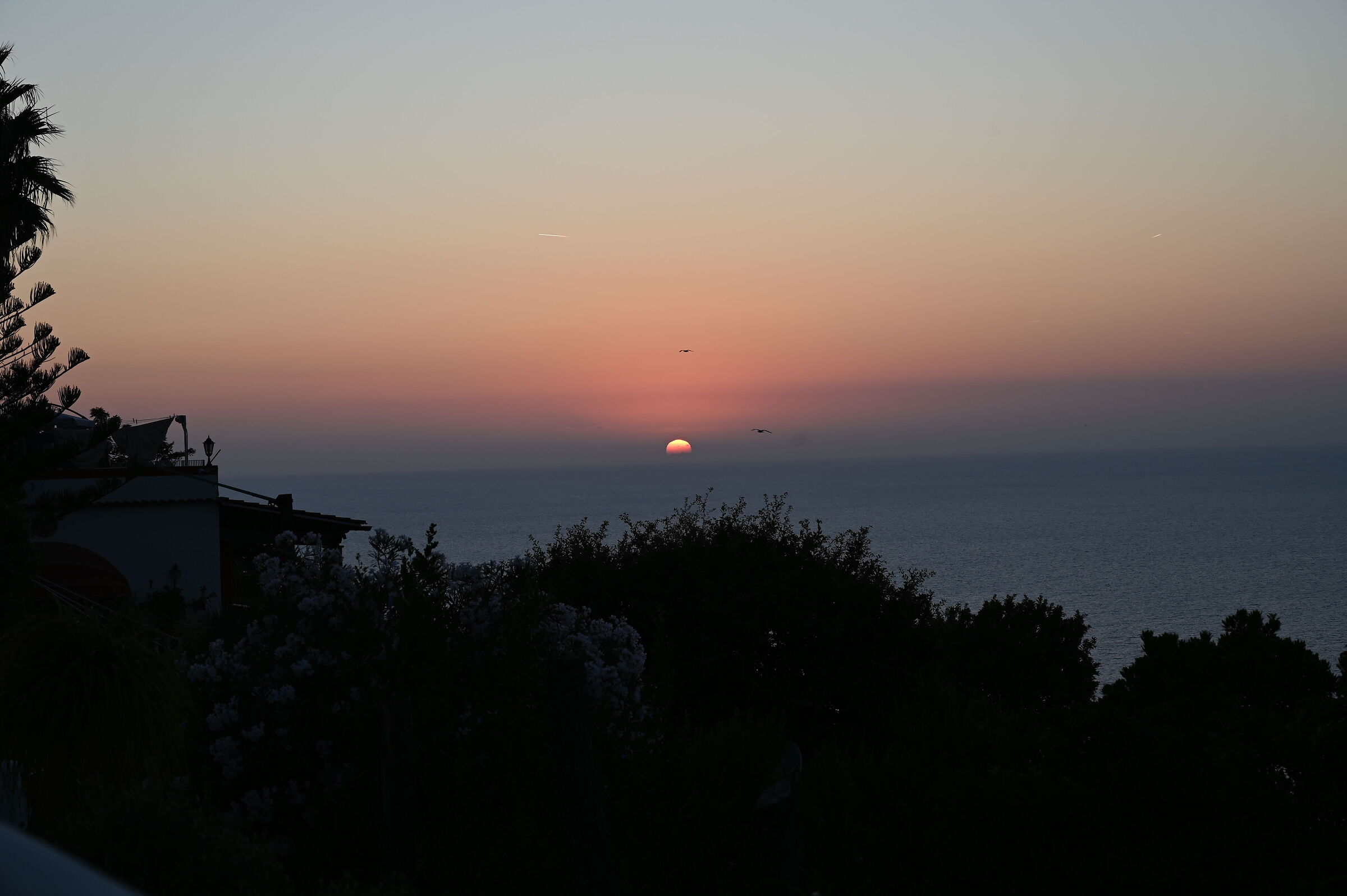 Sunset 2
