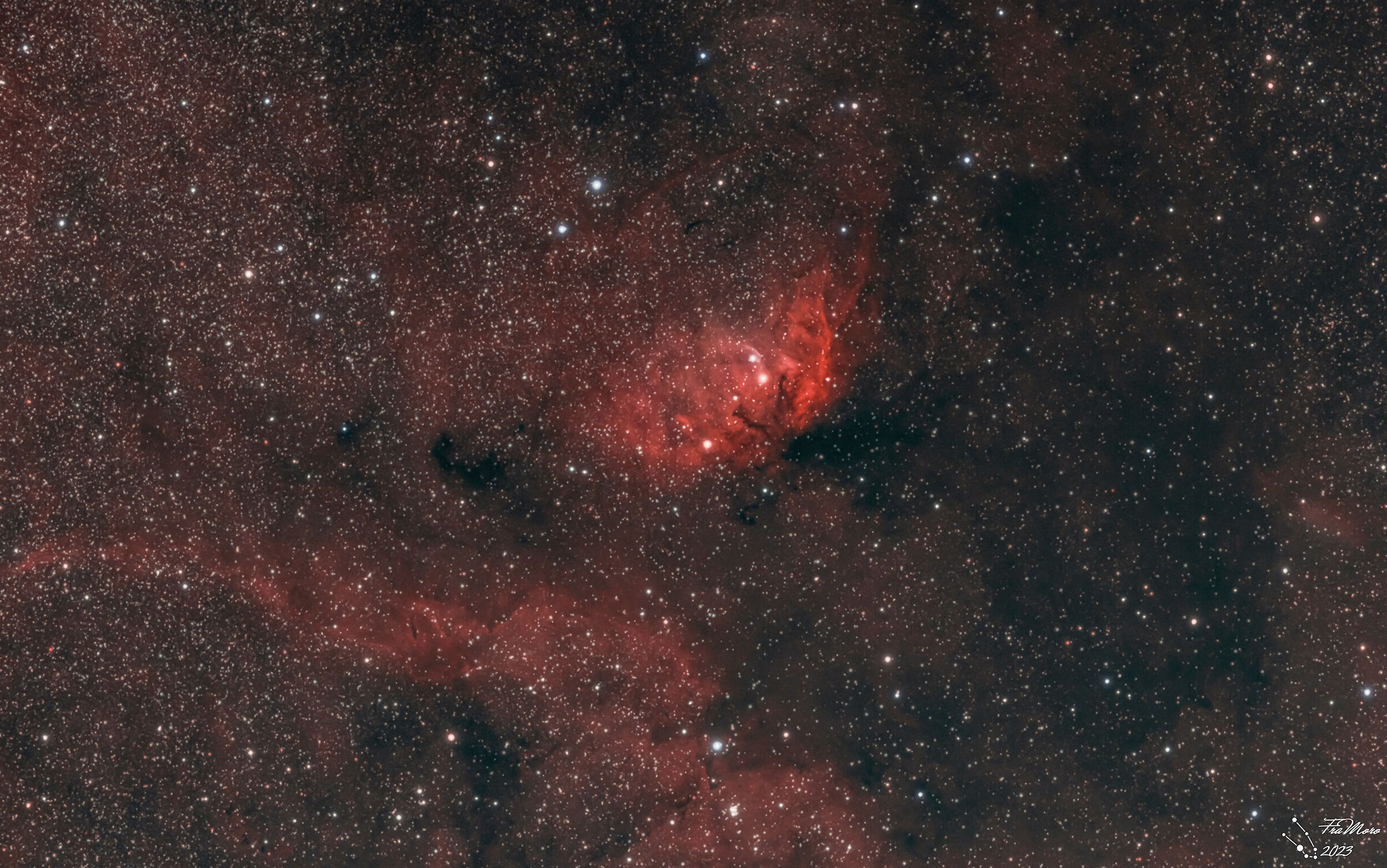 La Nebulosa Tulipano