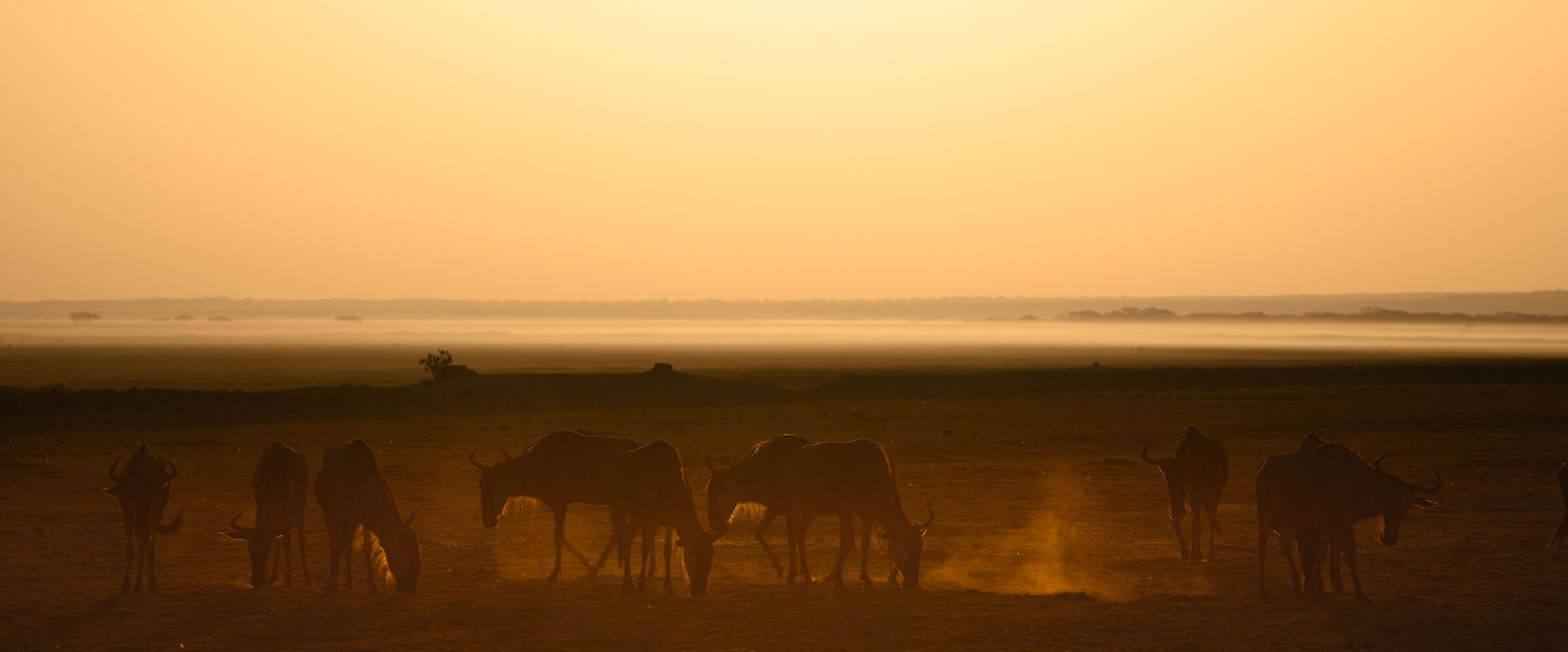 ...il giorno che se ne va...