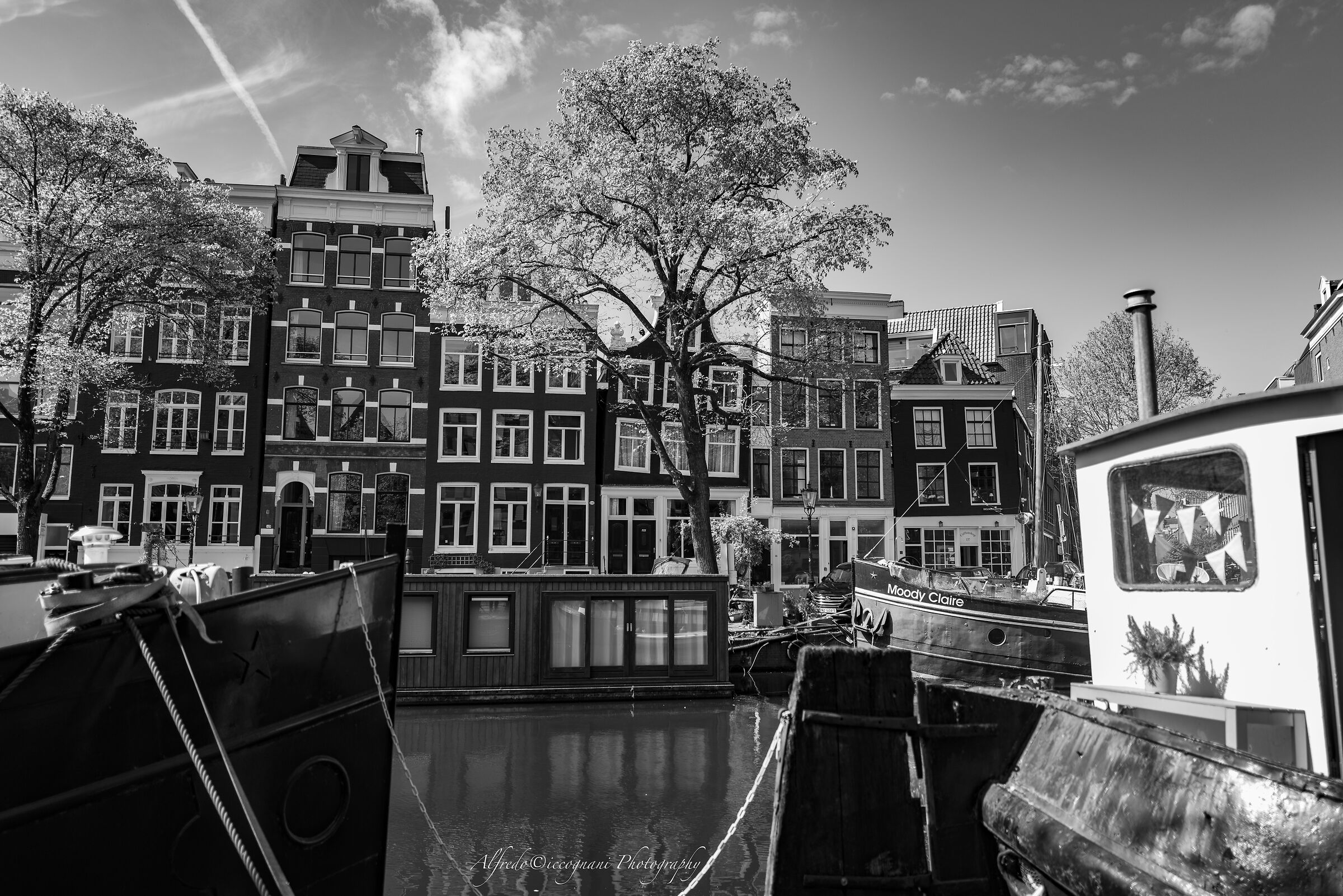 Untitled Photo