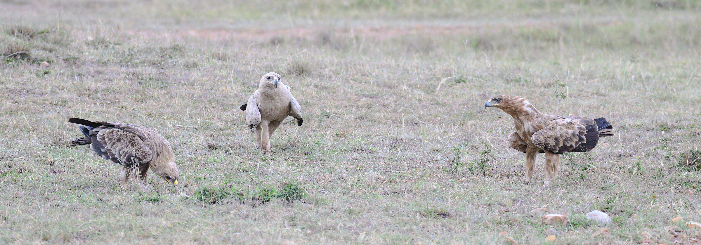 ...ciao ragazzi tutto ok?...