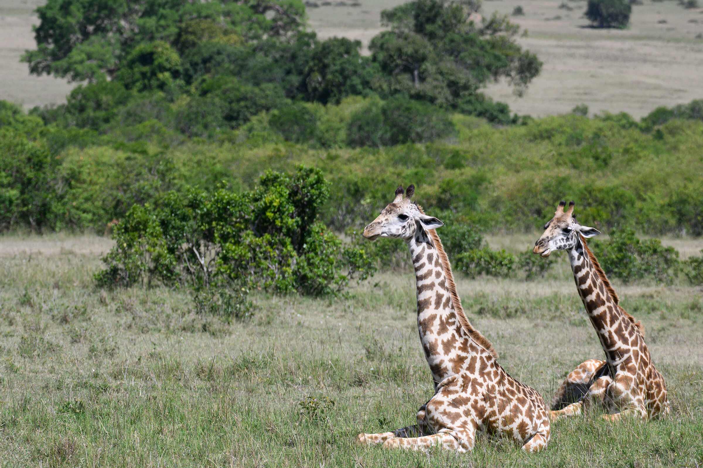 ...rilassamento in posizione insolita...