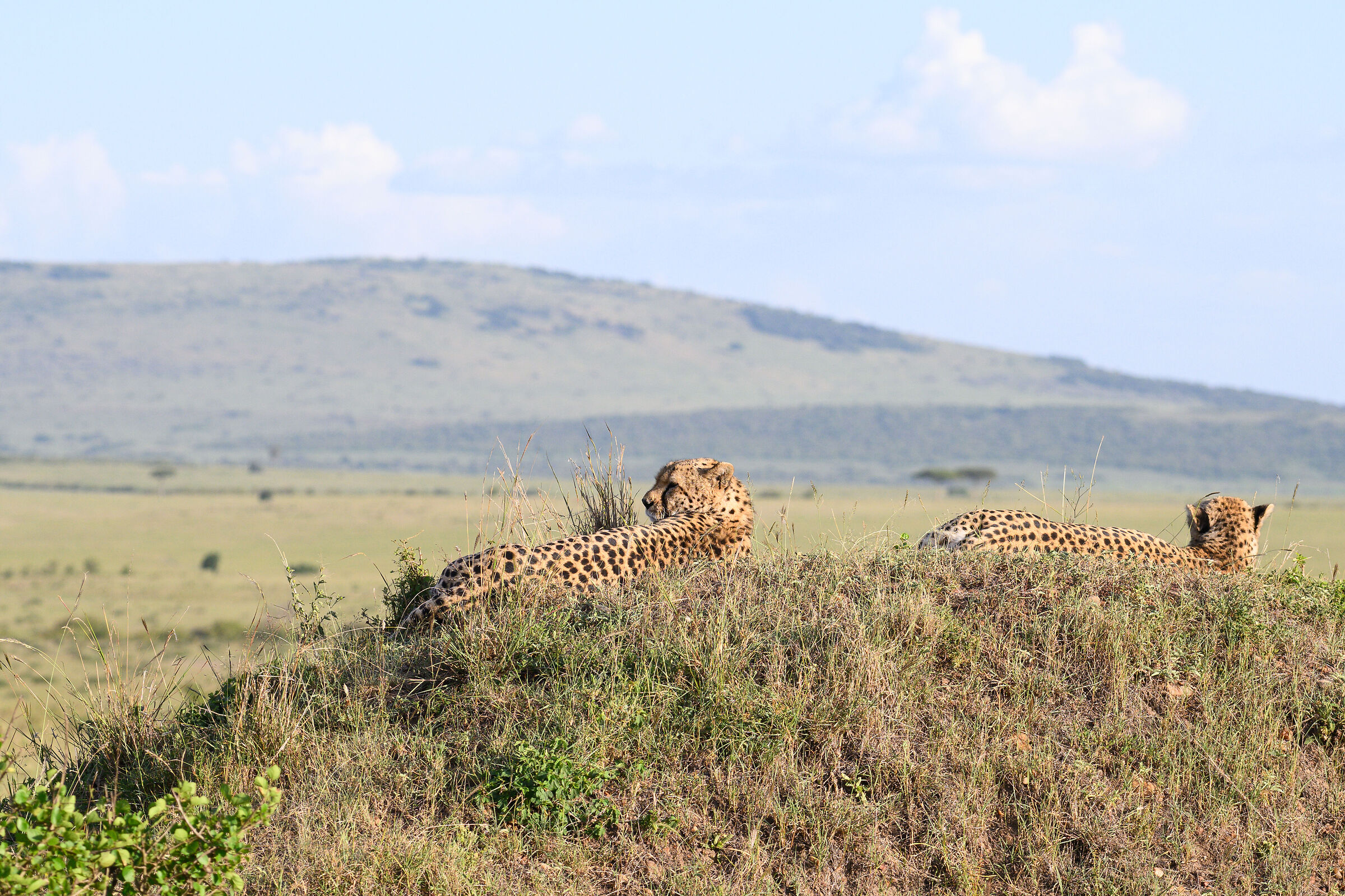 ...punto strategico...