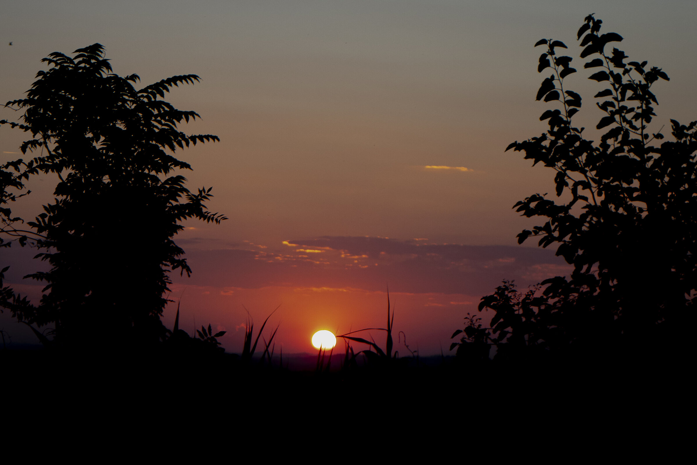 Sunset in Tavullia