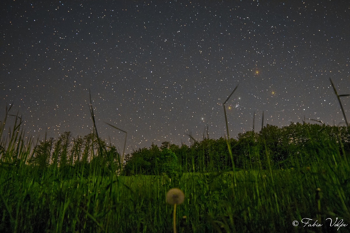 The point of view of a Dachshund