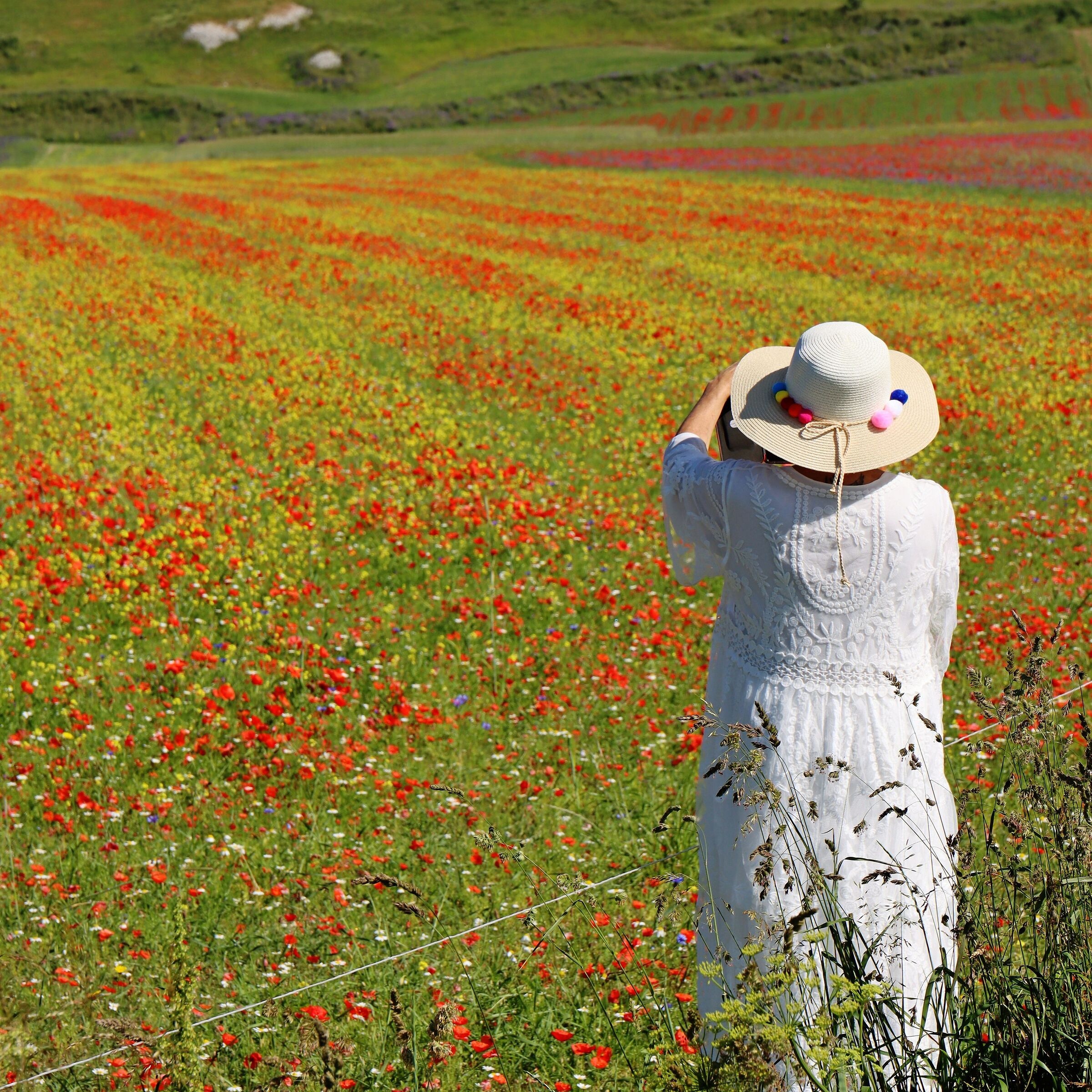 Street a castelluccio 23