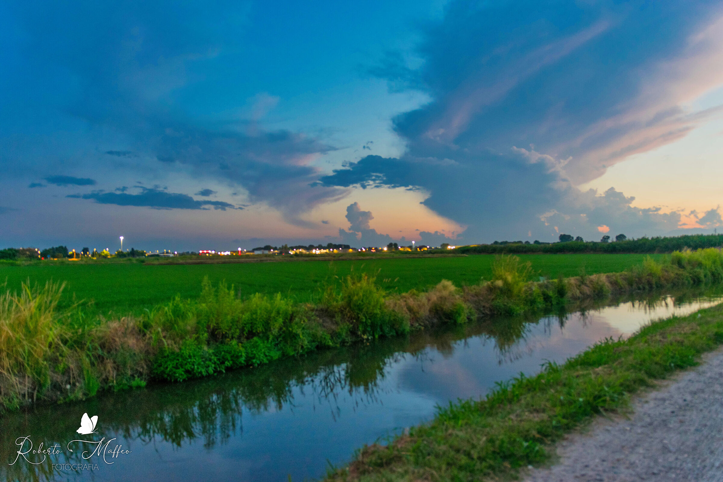 RICE FIELDS