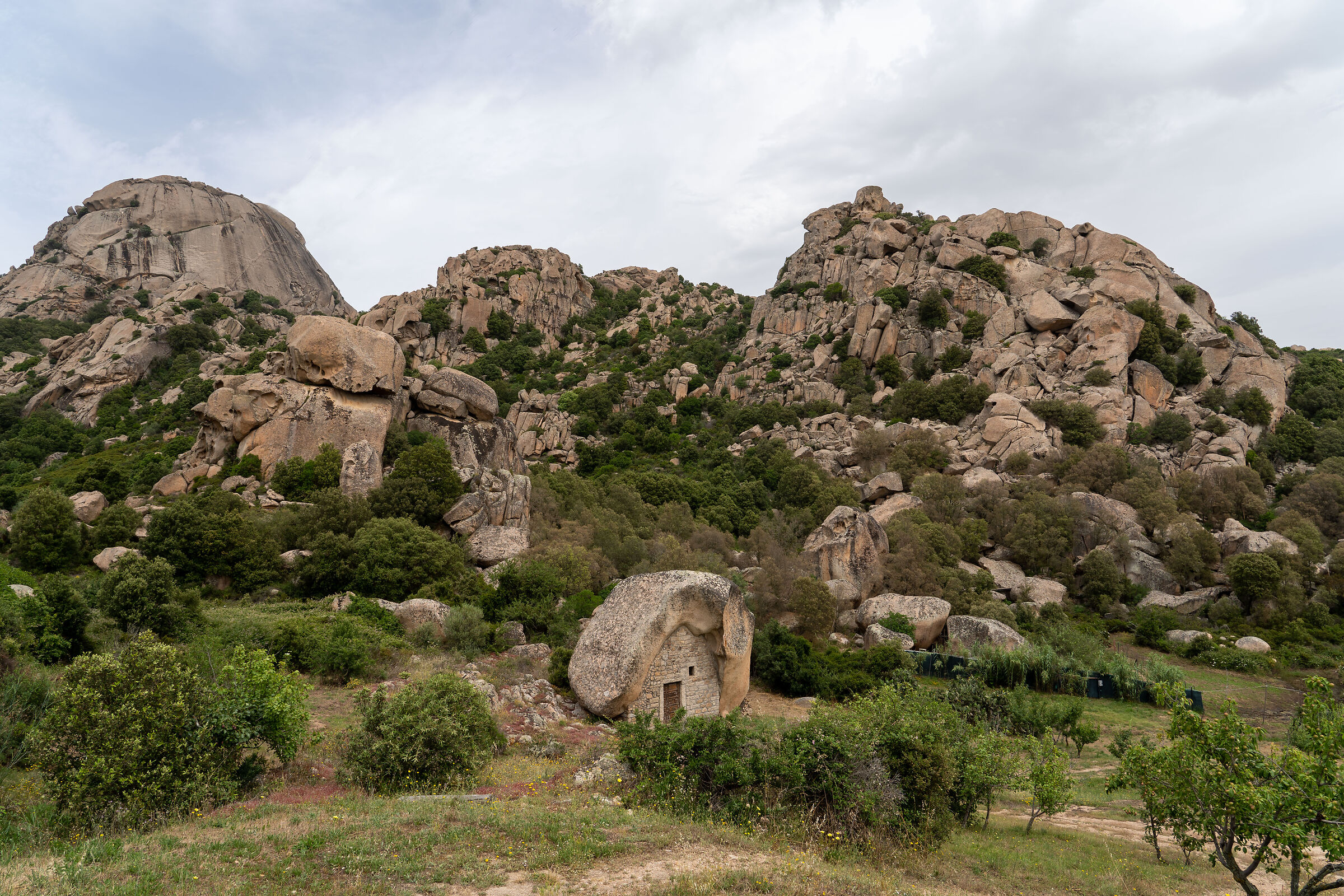 Pulchiana Mountains