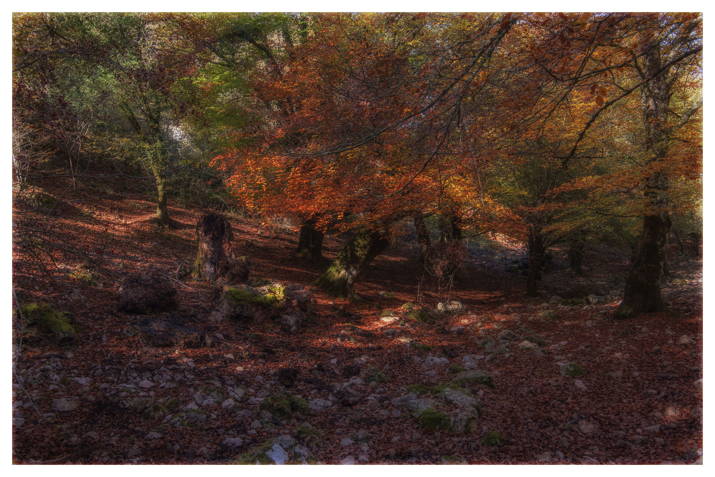 Sempre più complicato