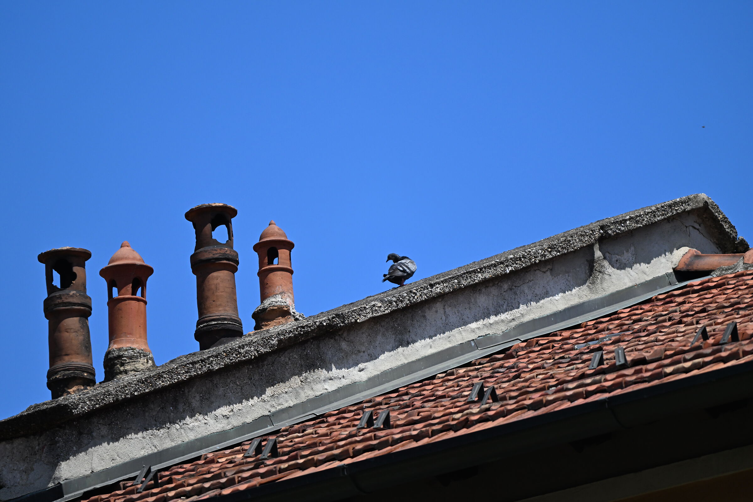 Prova Z8 con 180-600 (Piccione su tetto)